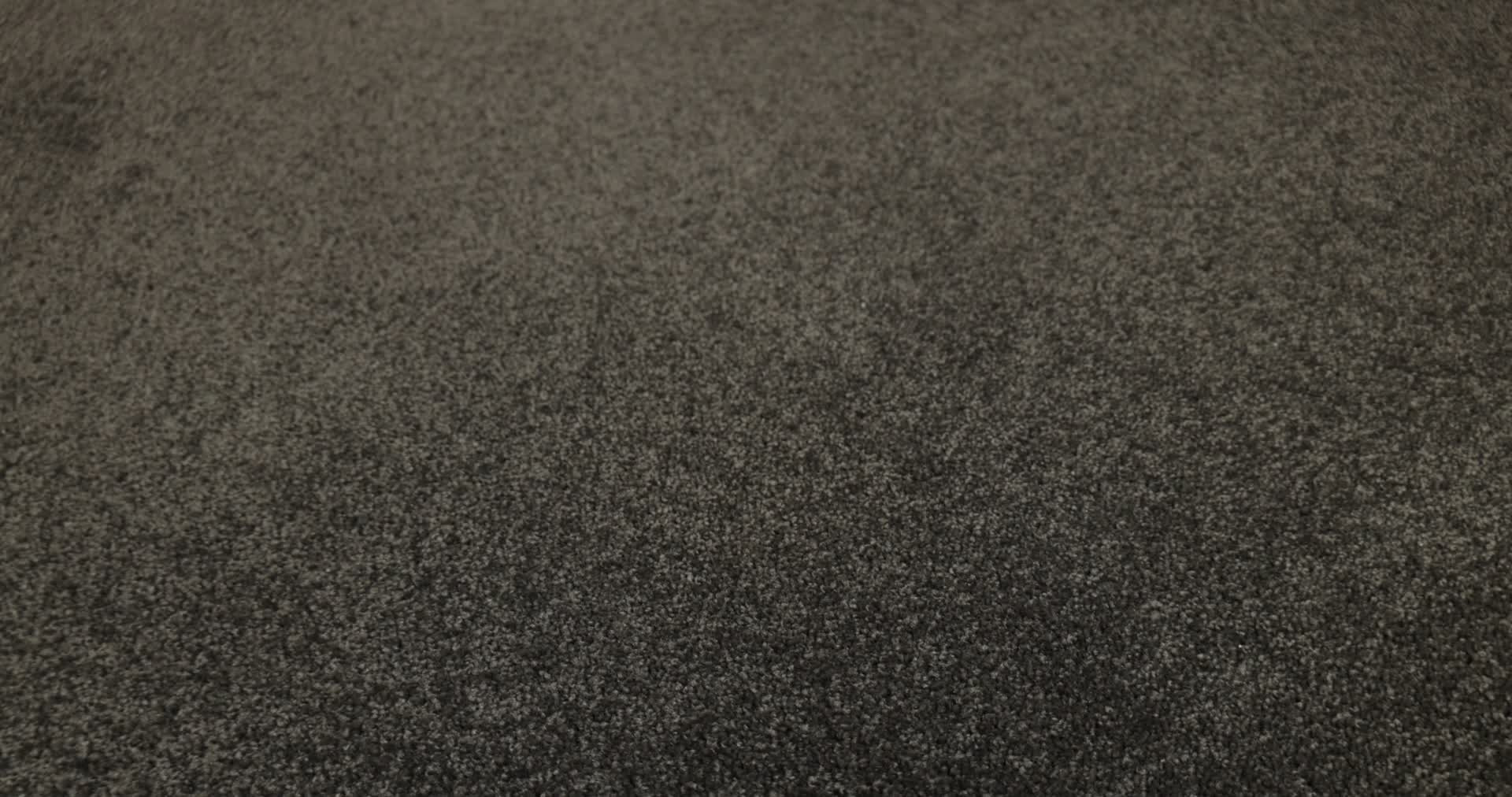 JEALOUSY MAHOGANY 360PROD