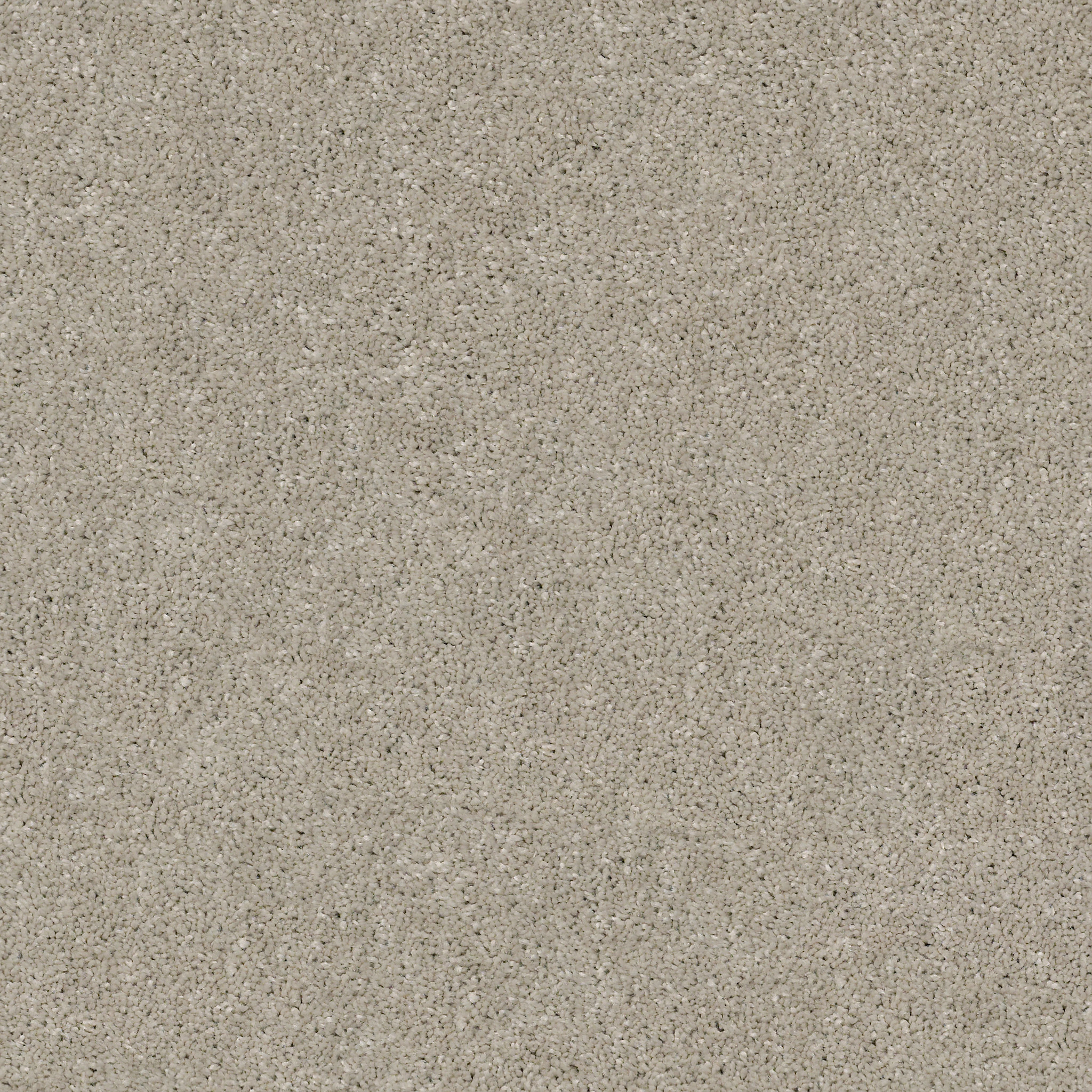 AFTER ALL II BIRD HOUSE MAIN