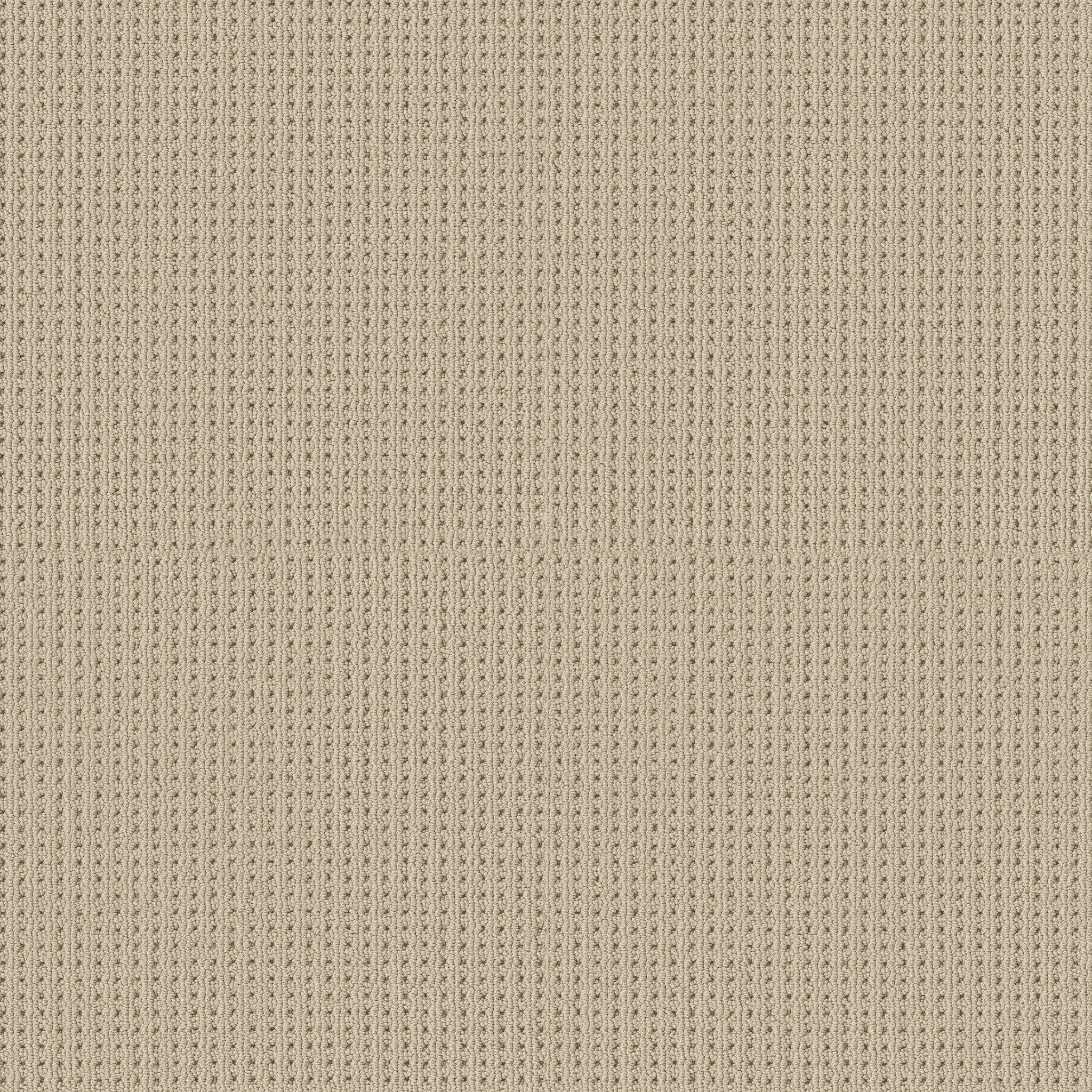 SAN ANTONIO BISCUIT MAIN