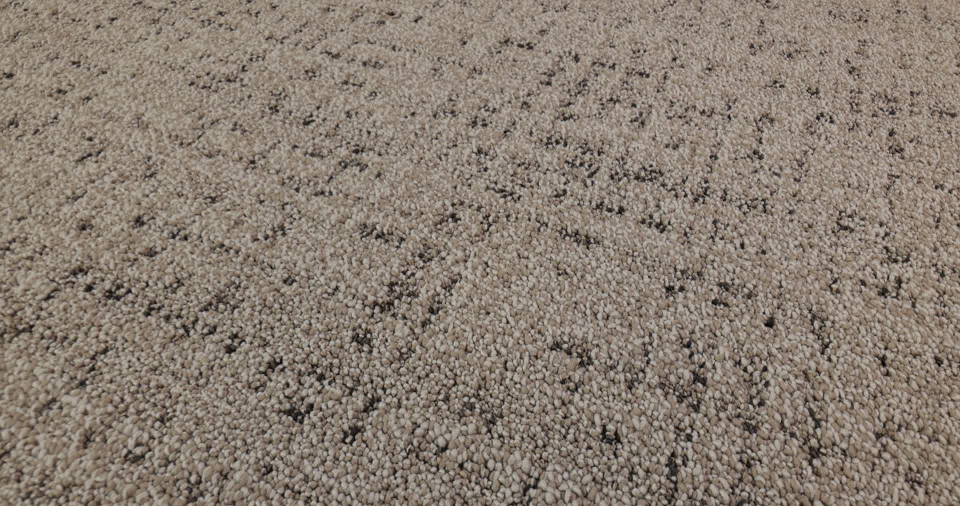 IN STEP DERBY 360PROD