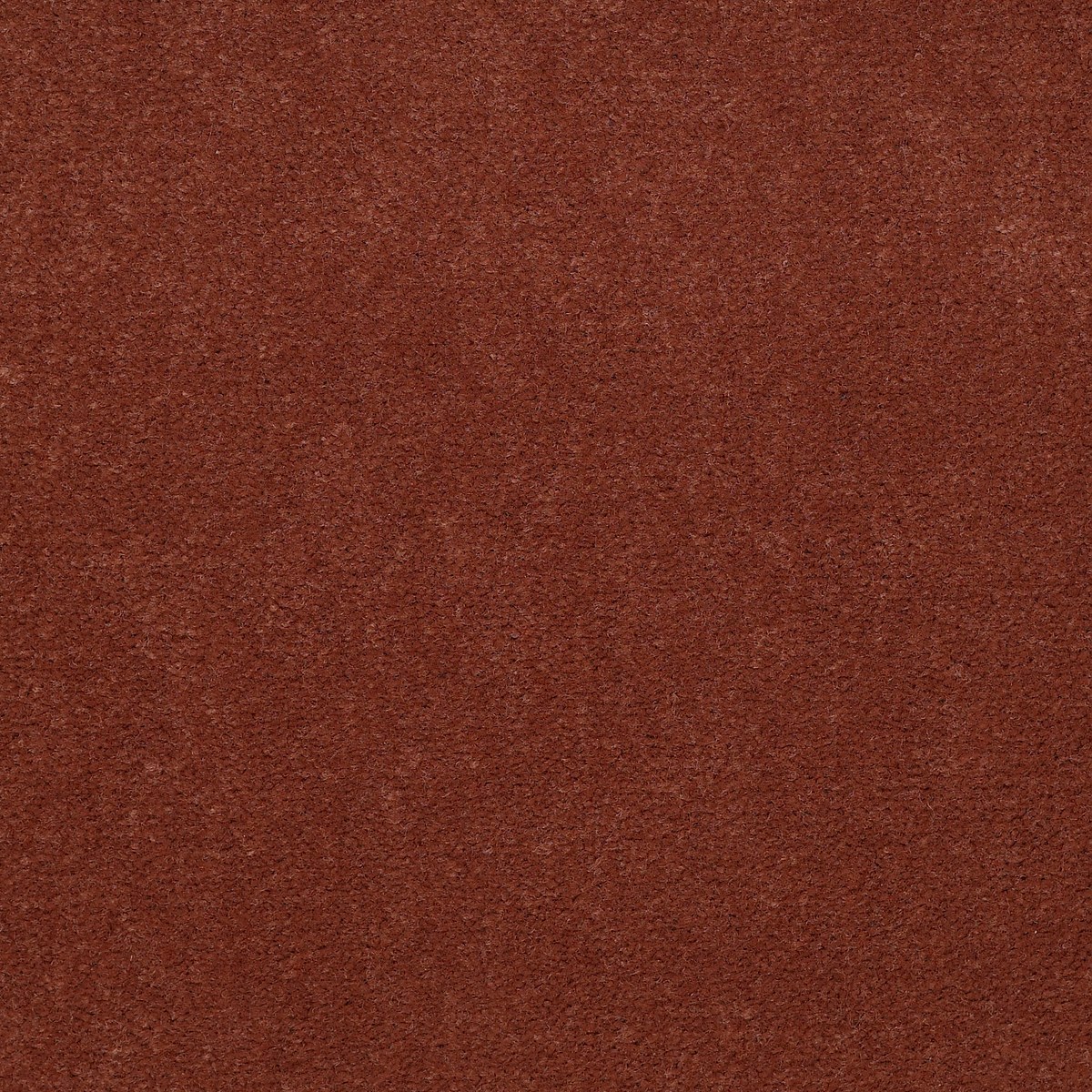 BAYTOWNE III 36 — ALLSPICE
