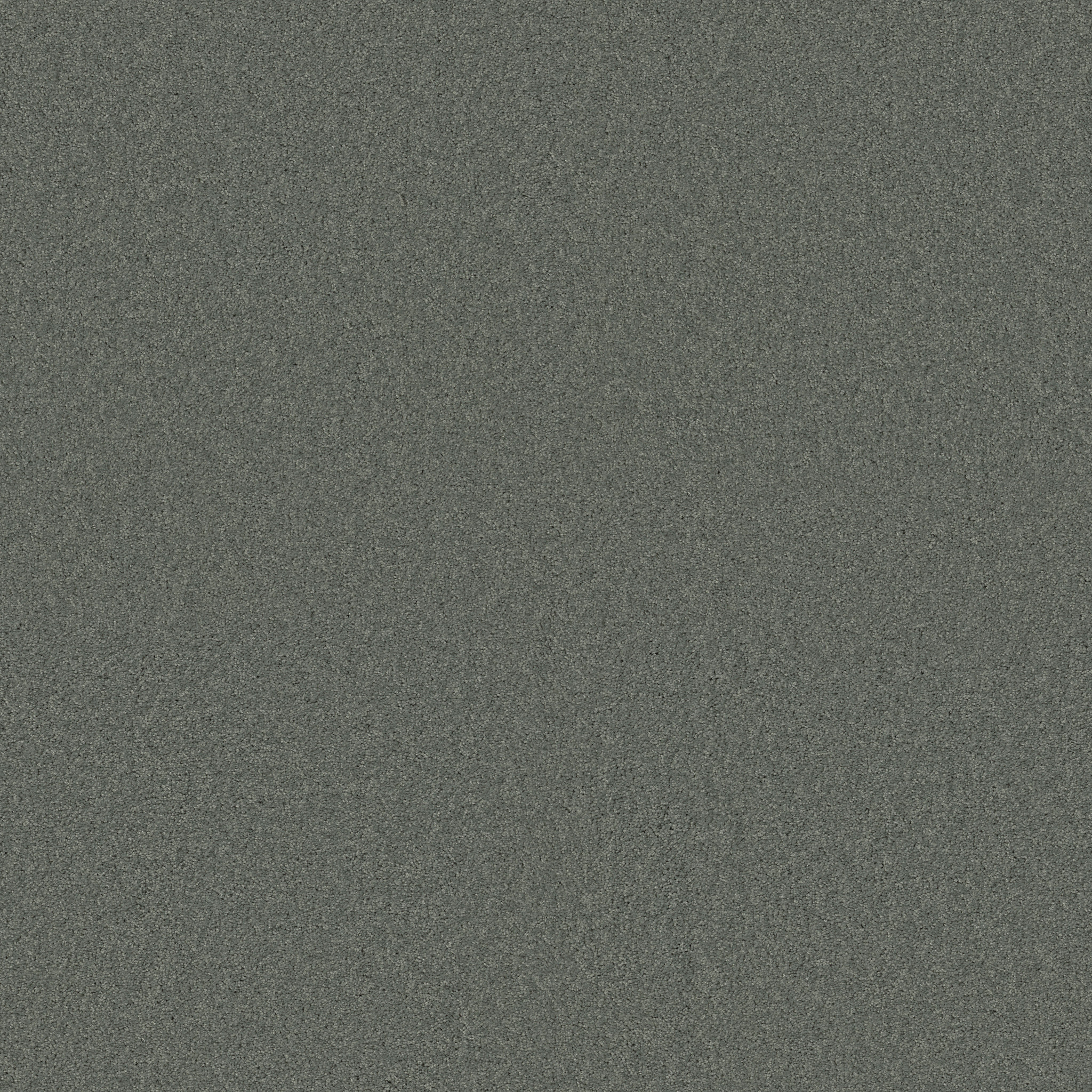 MY DESTINATION I SILVER SAGE MAIN