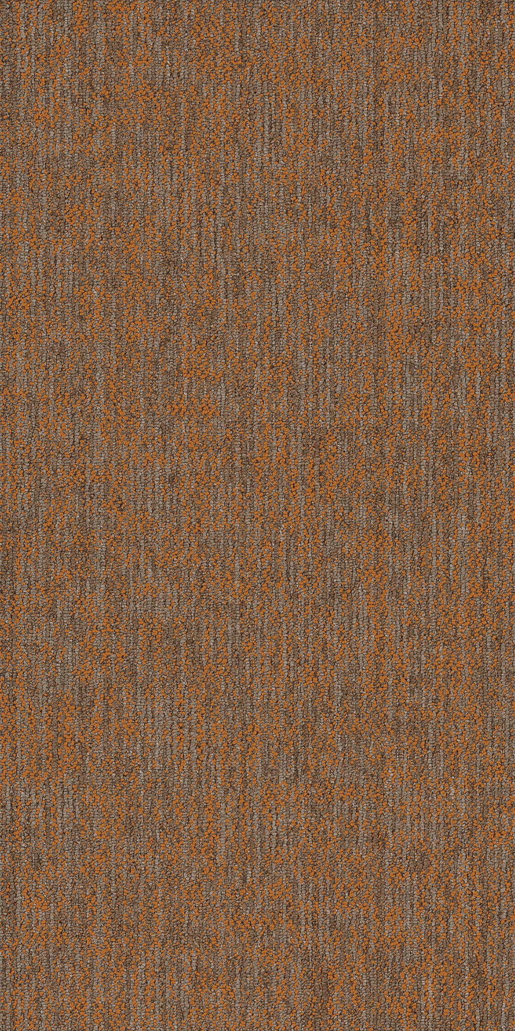 CRAZY-SMART-54841-MAGNETIC-00610-main-image