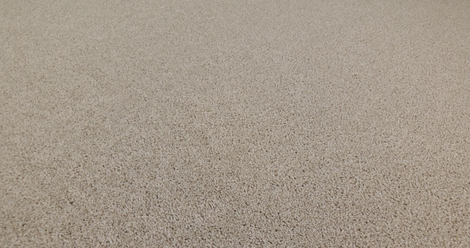 VIVID TOUCH I CAFE LATTE 360PROD