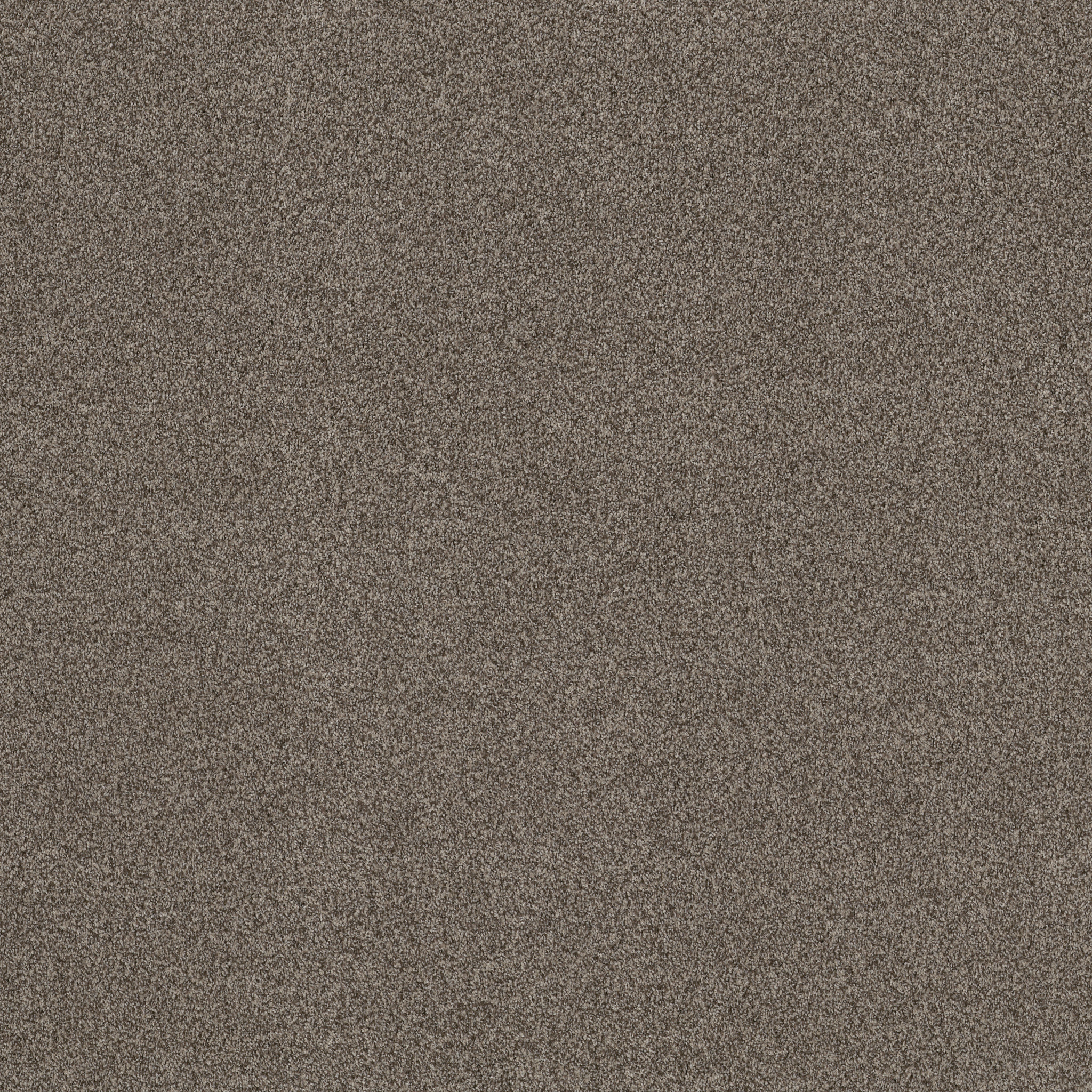 BOSSA NOVA ARROWHEAD MAIN