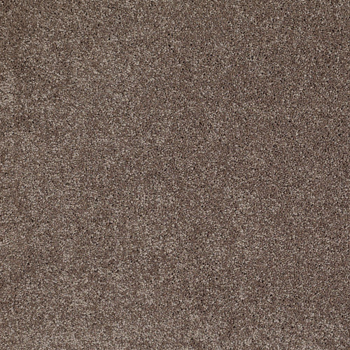 Rustic Taupe 00706