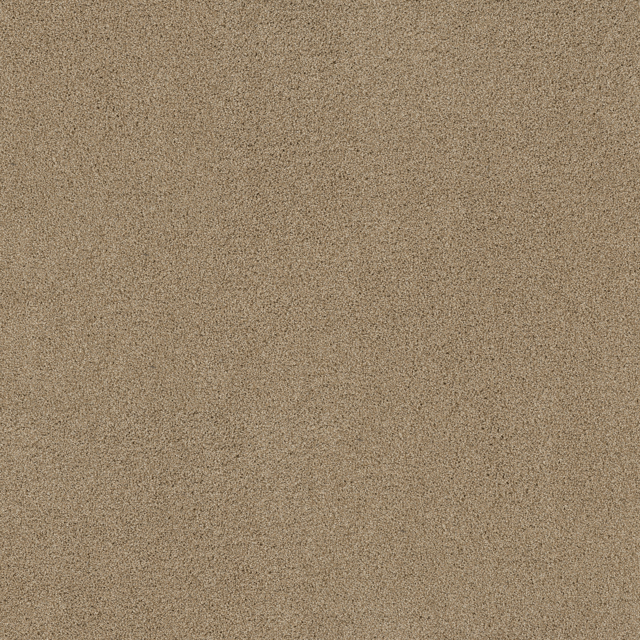 PARK HAVEN SERENGETI MAIN