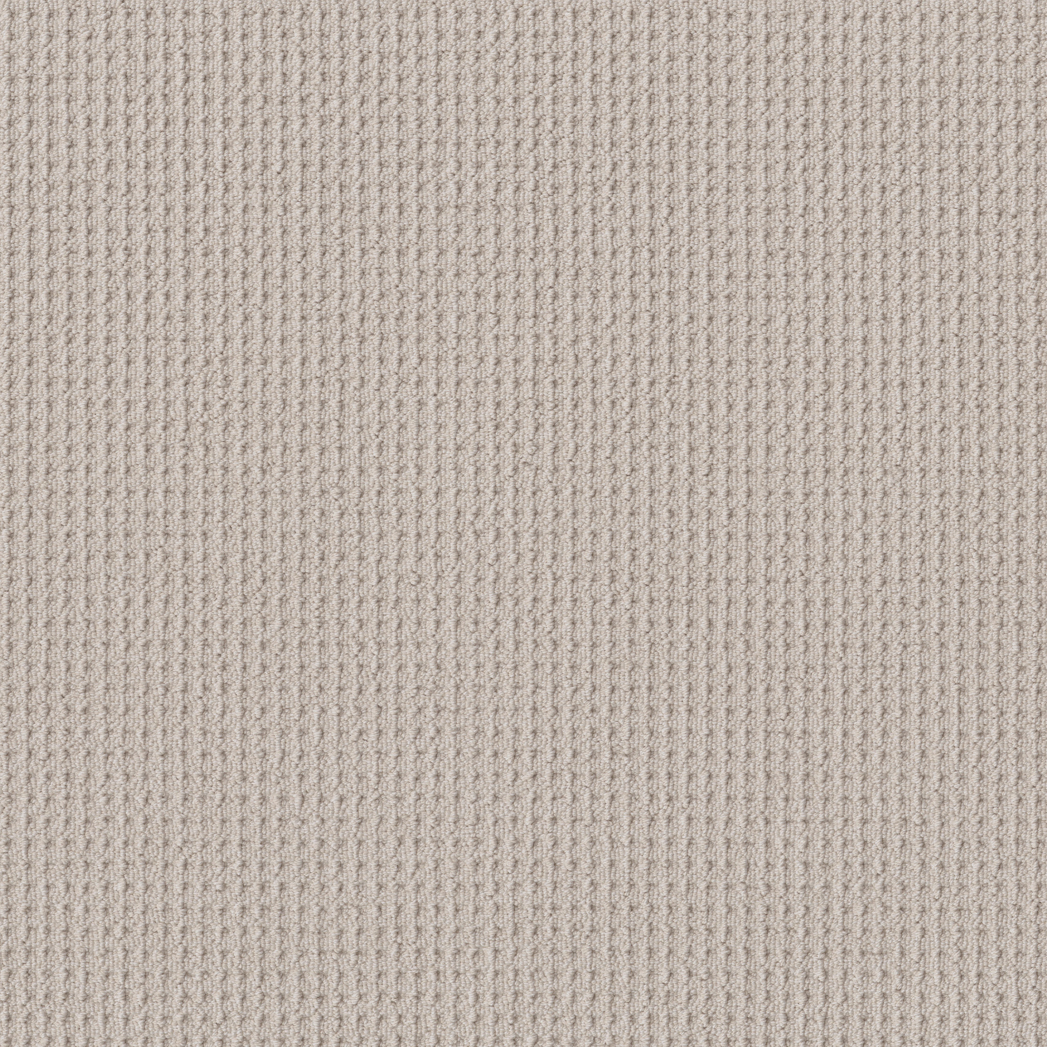 FAINT INTENT WINTERS DAWN MAIN