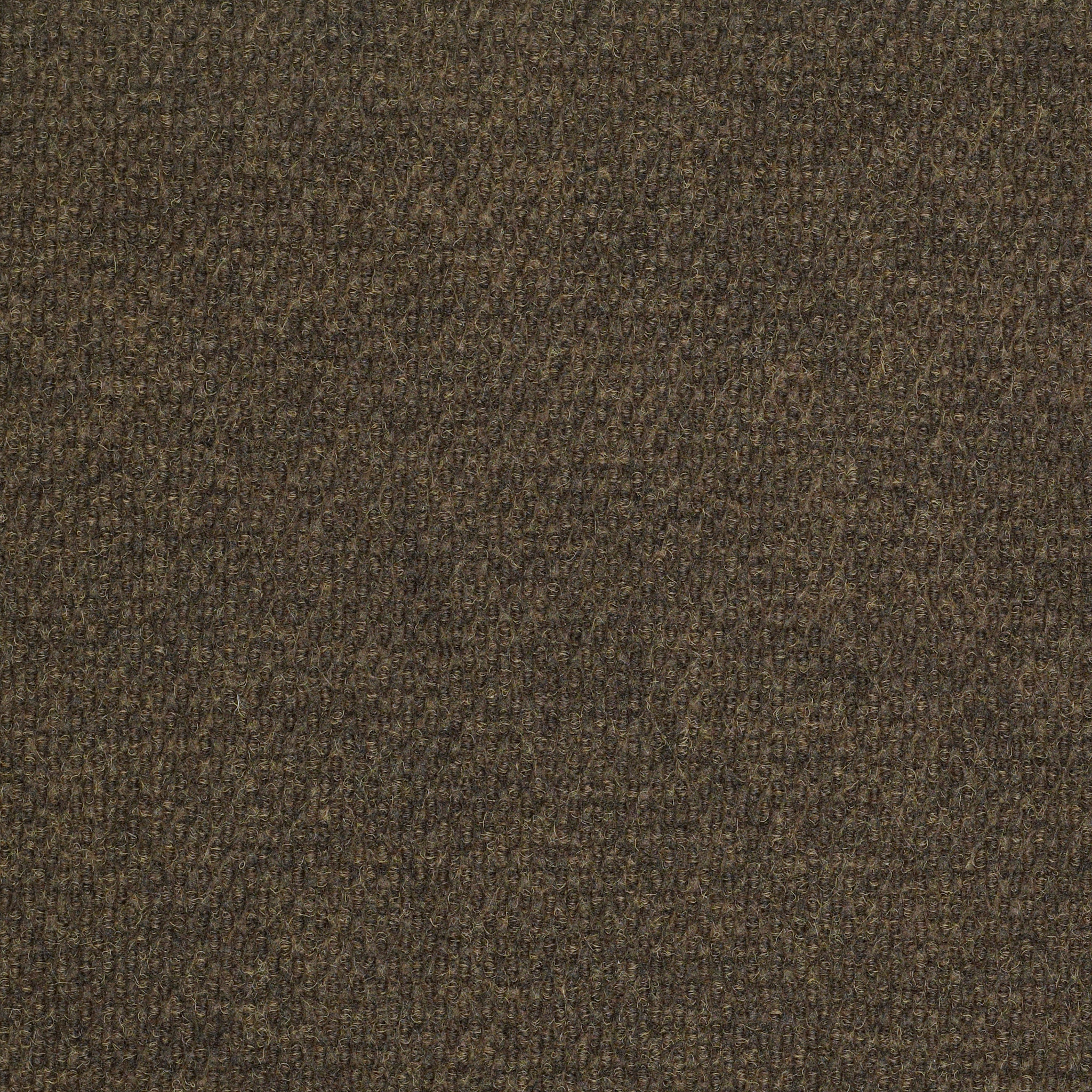 SUCCESSIONII-BL-54694-FRENCH-ROAST-00701-main-image
