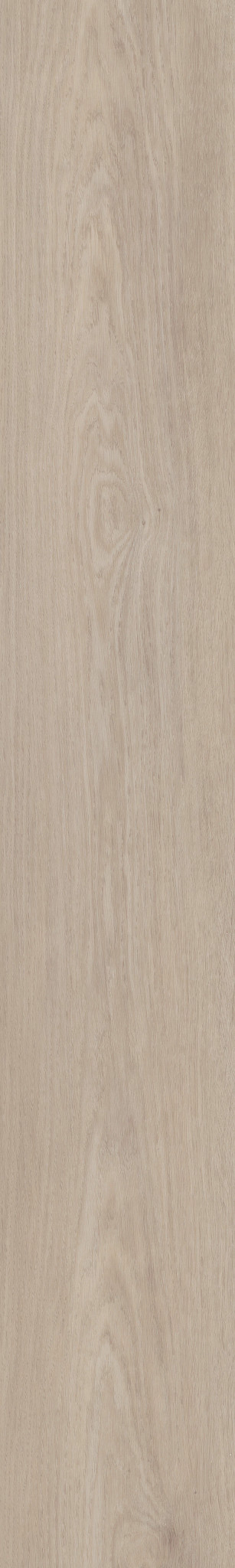 BRIARD SHALE OAK 1TO1