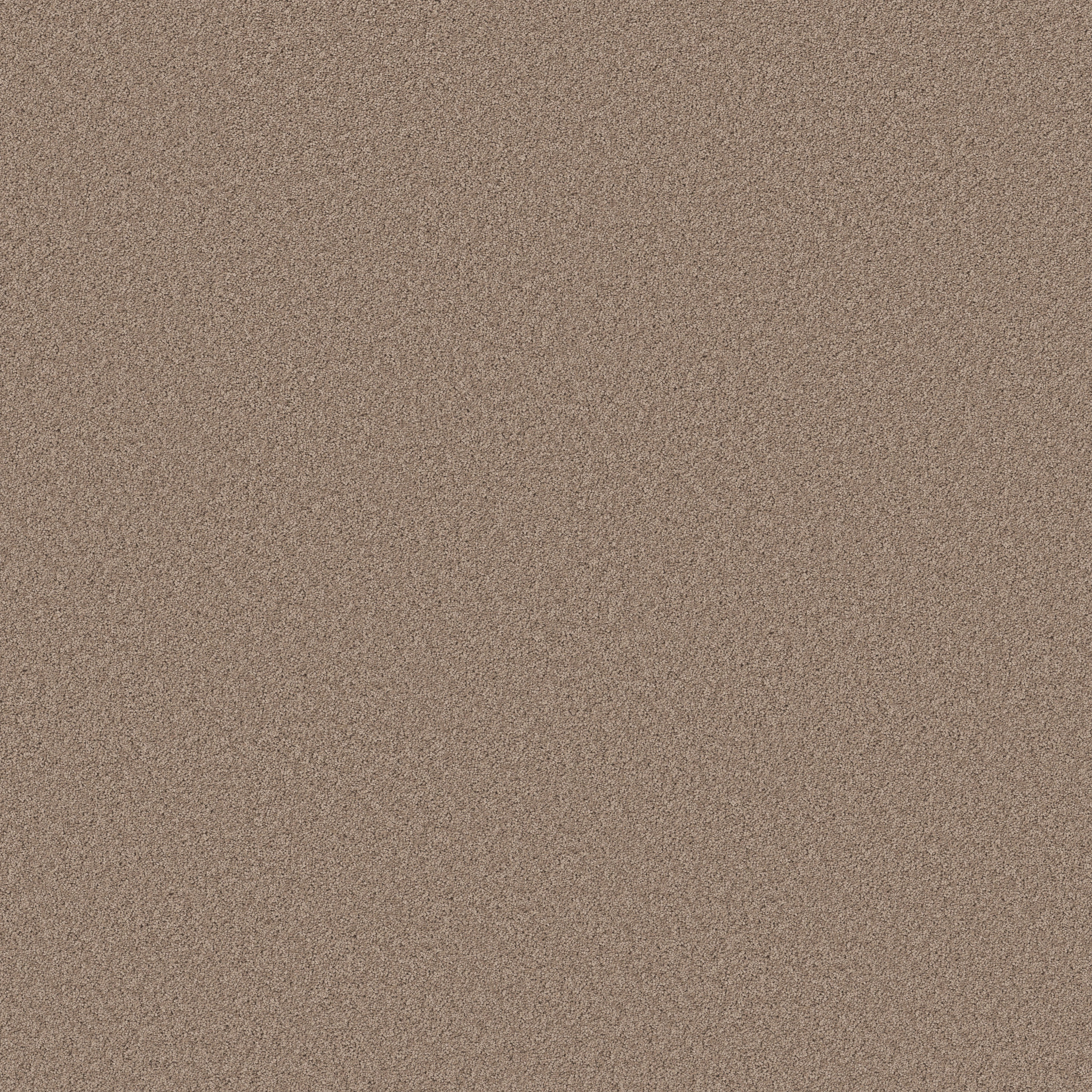 PURE AFFECTION S SIERRA MAIN