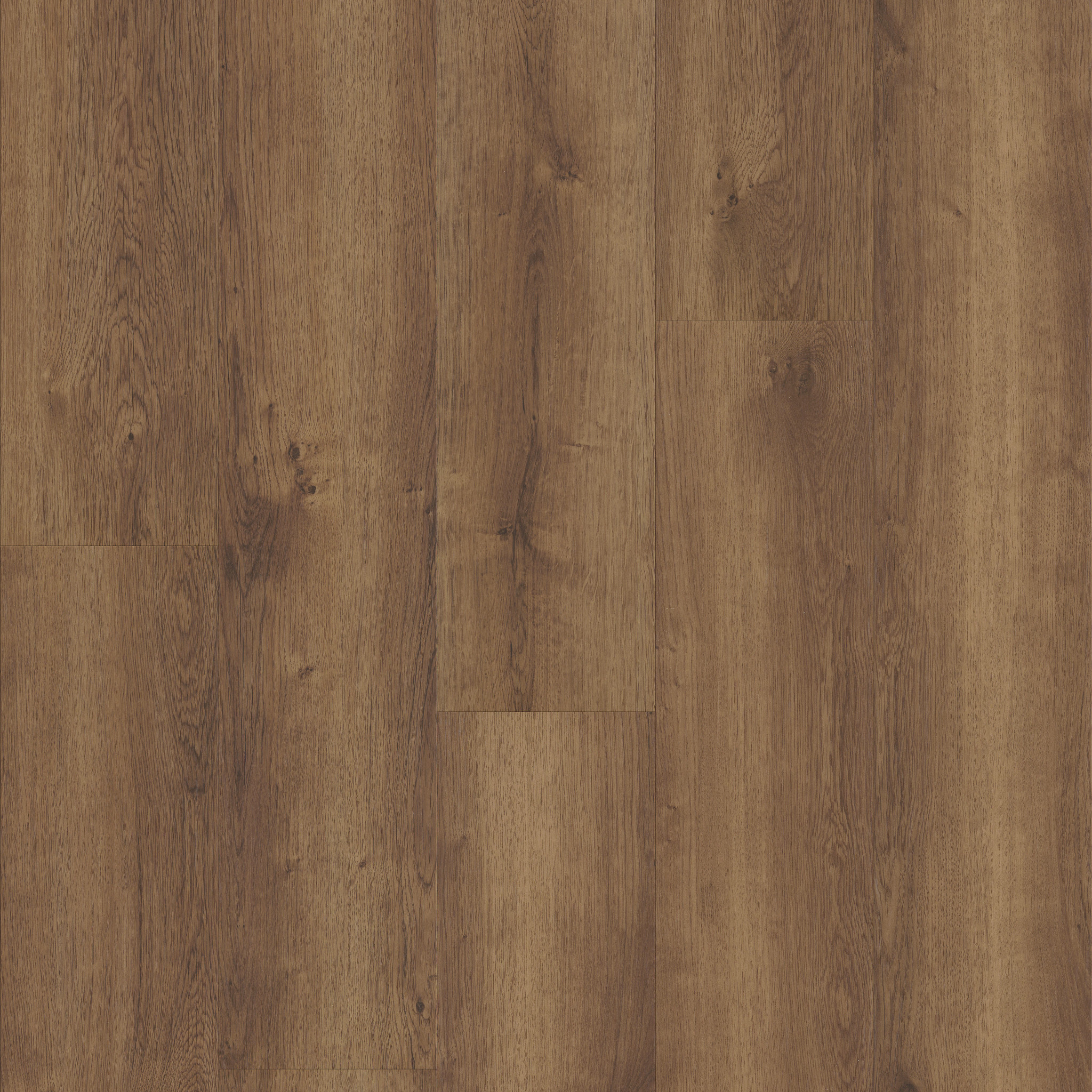 Monterey Oak
