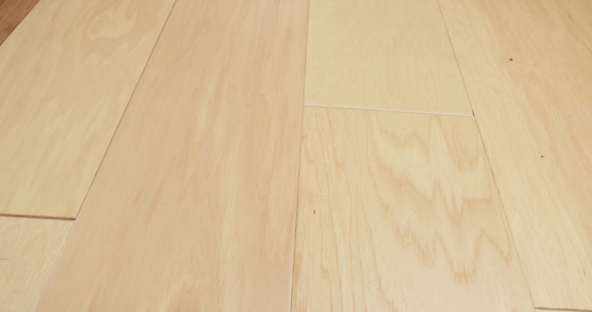 TRUE CUT NATURAL 360PROD