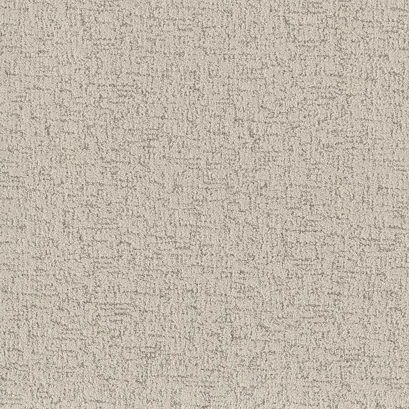 Run Free 5E588 broadloom carpet in Natural color, 12ft width, made of 100% PET material