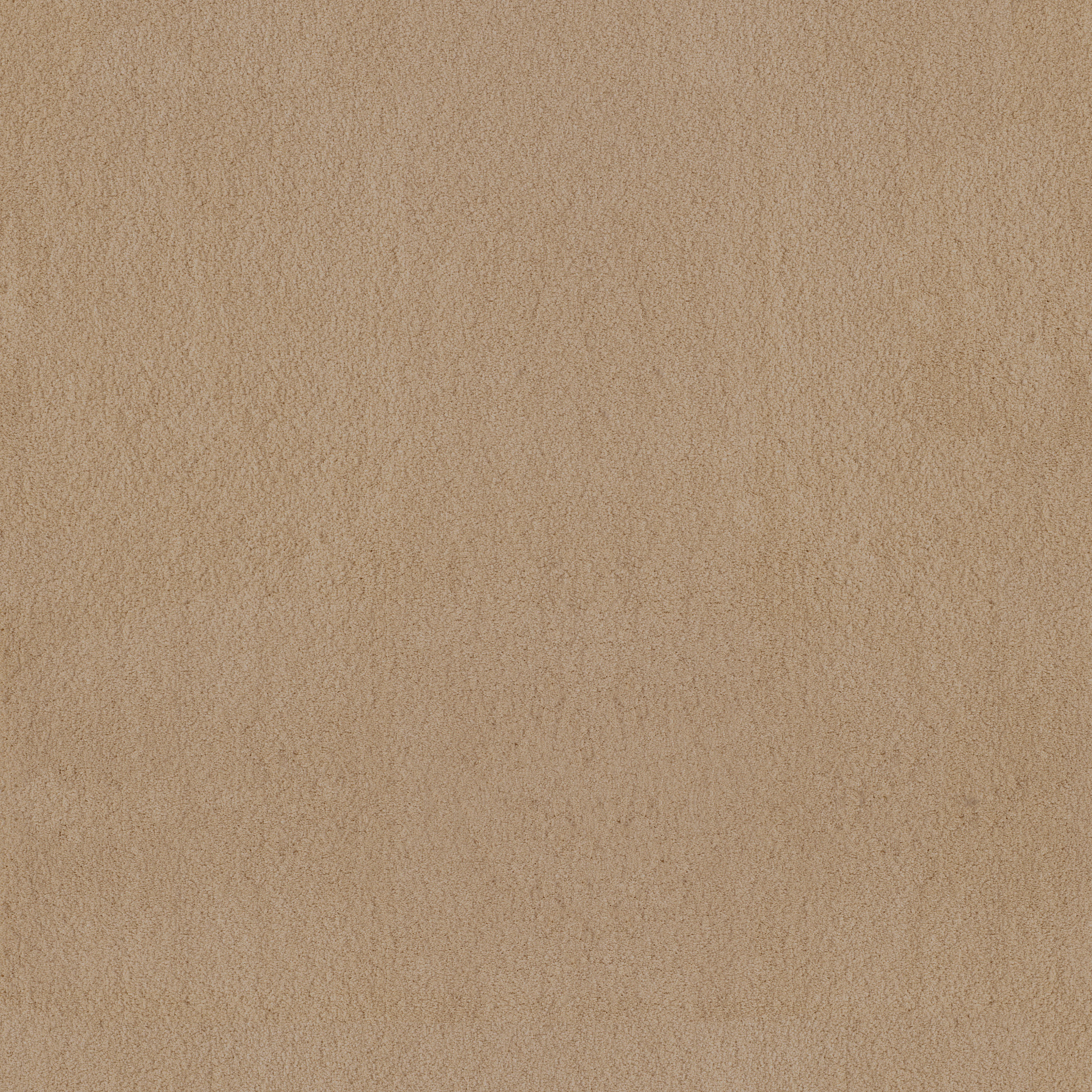 LUXE FEEL II MANILLA MAIN