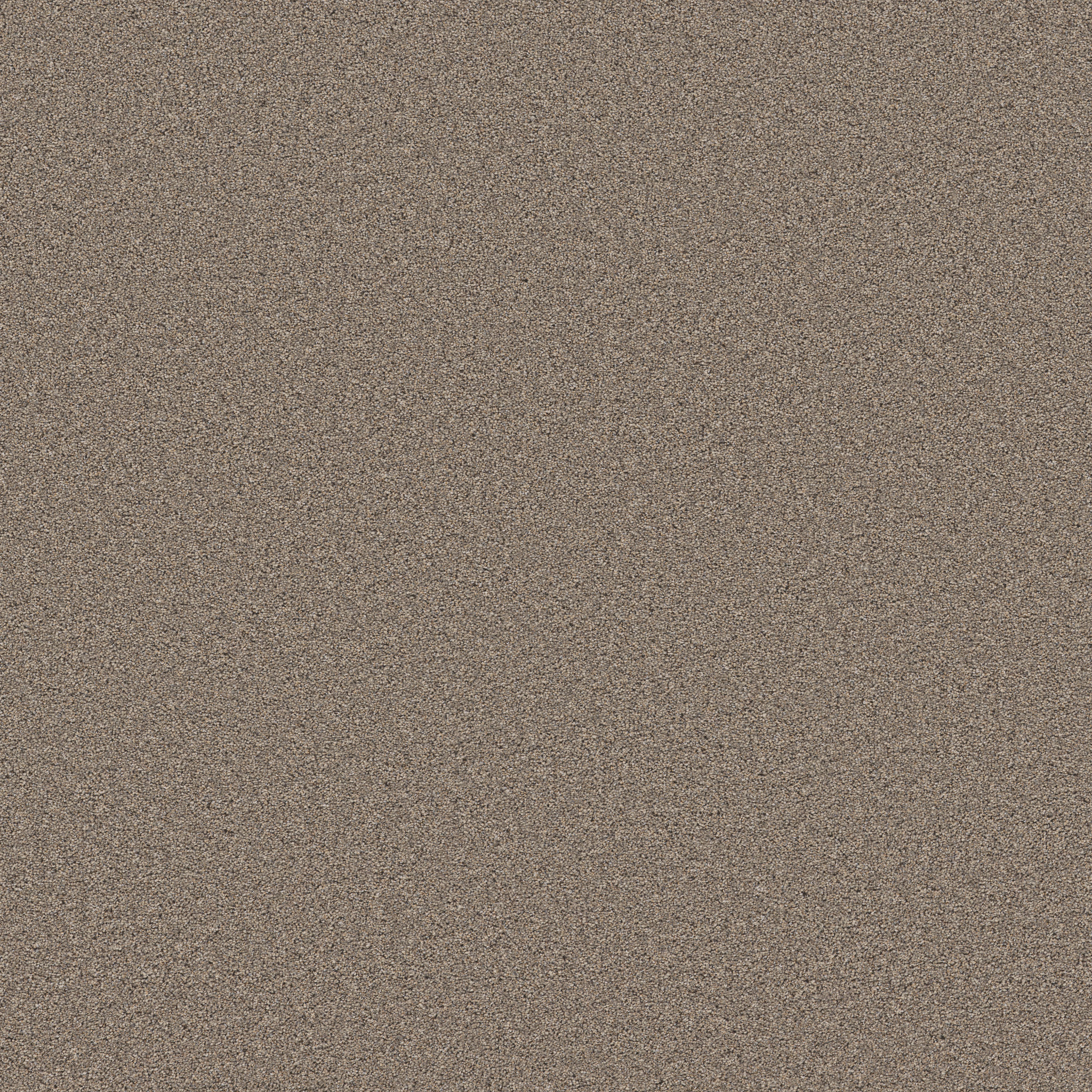 WONDERLAND III 12' SLATE MAIN