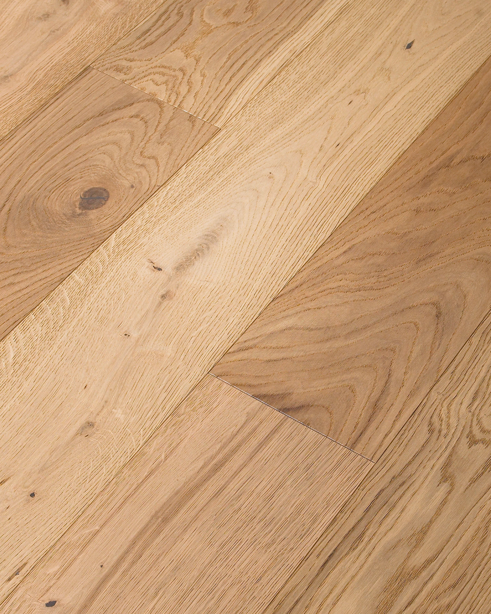 EXPRESSIONS HARMONY ANGLED