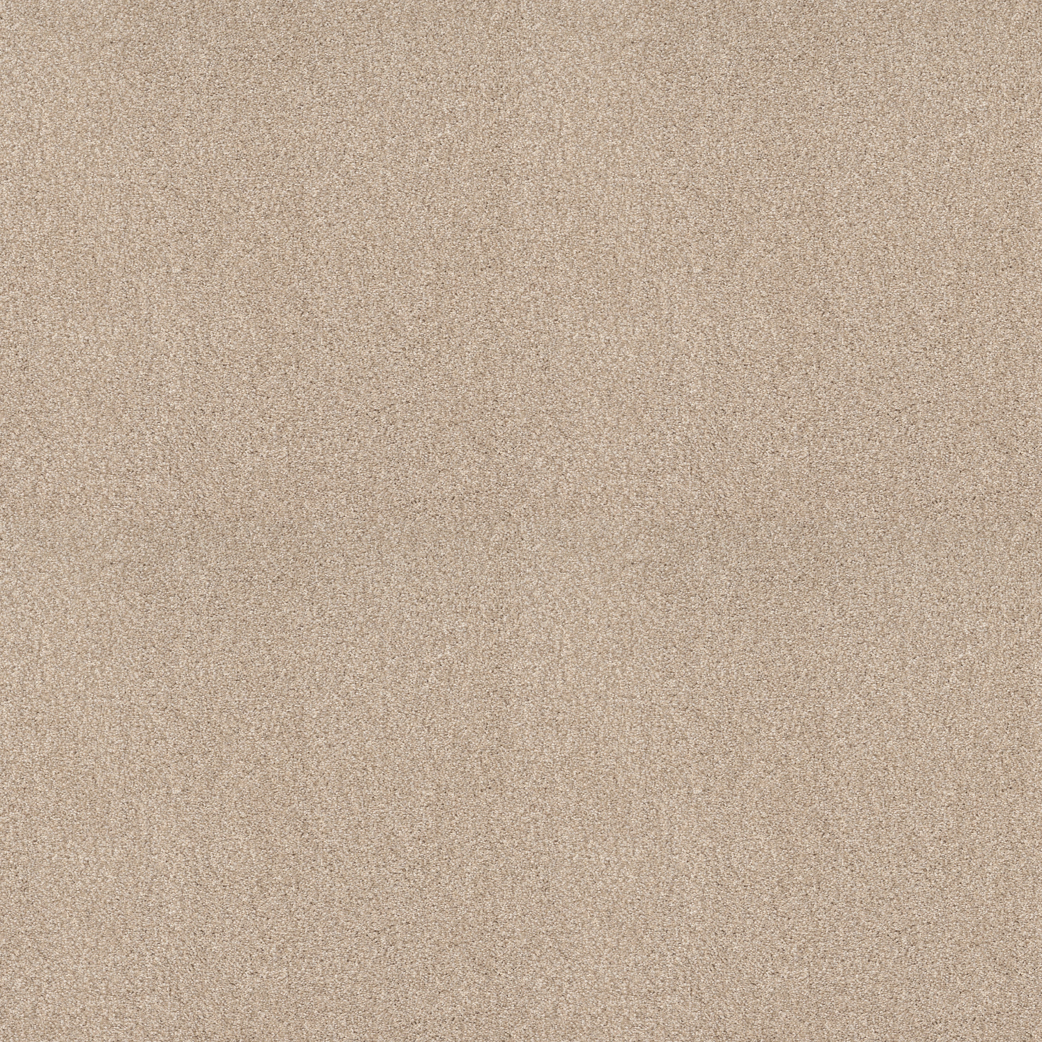 COMFORTING I MESA MAIN