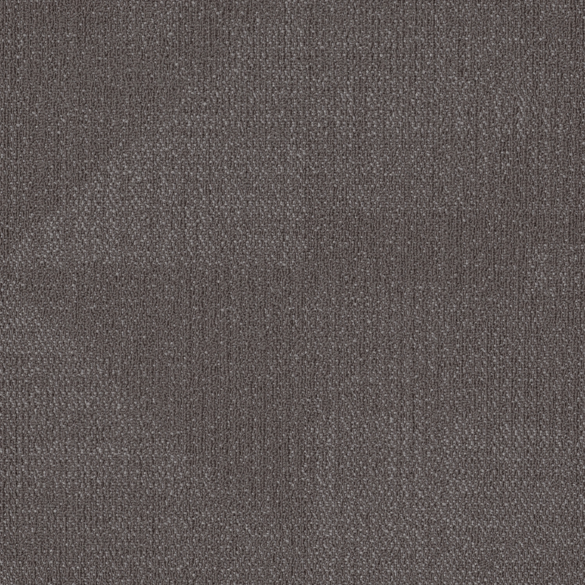 REEMERGE-54972-COMPOSE-00500-main-image