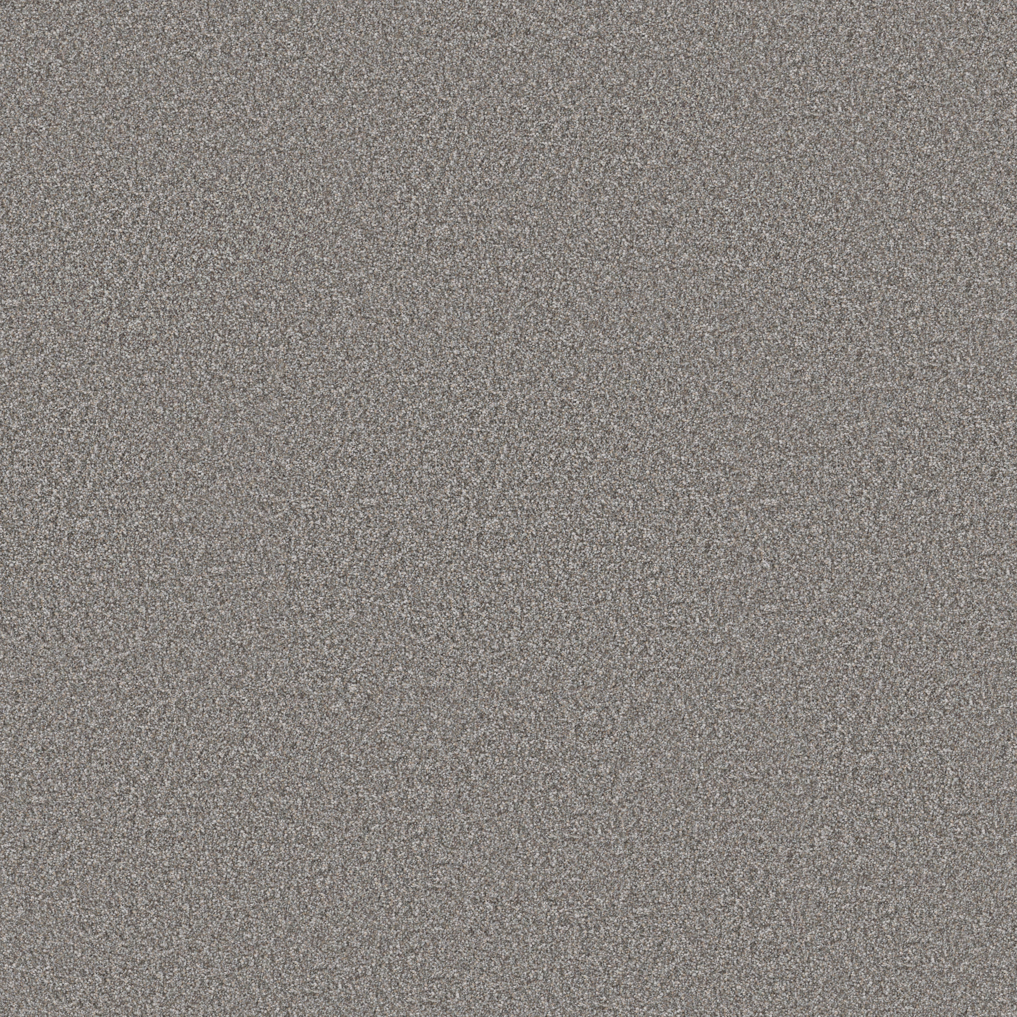 WITHOUT LIMITS III STAINLESS MAIN