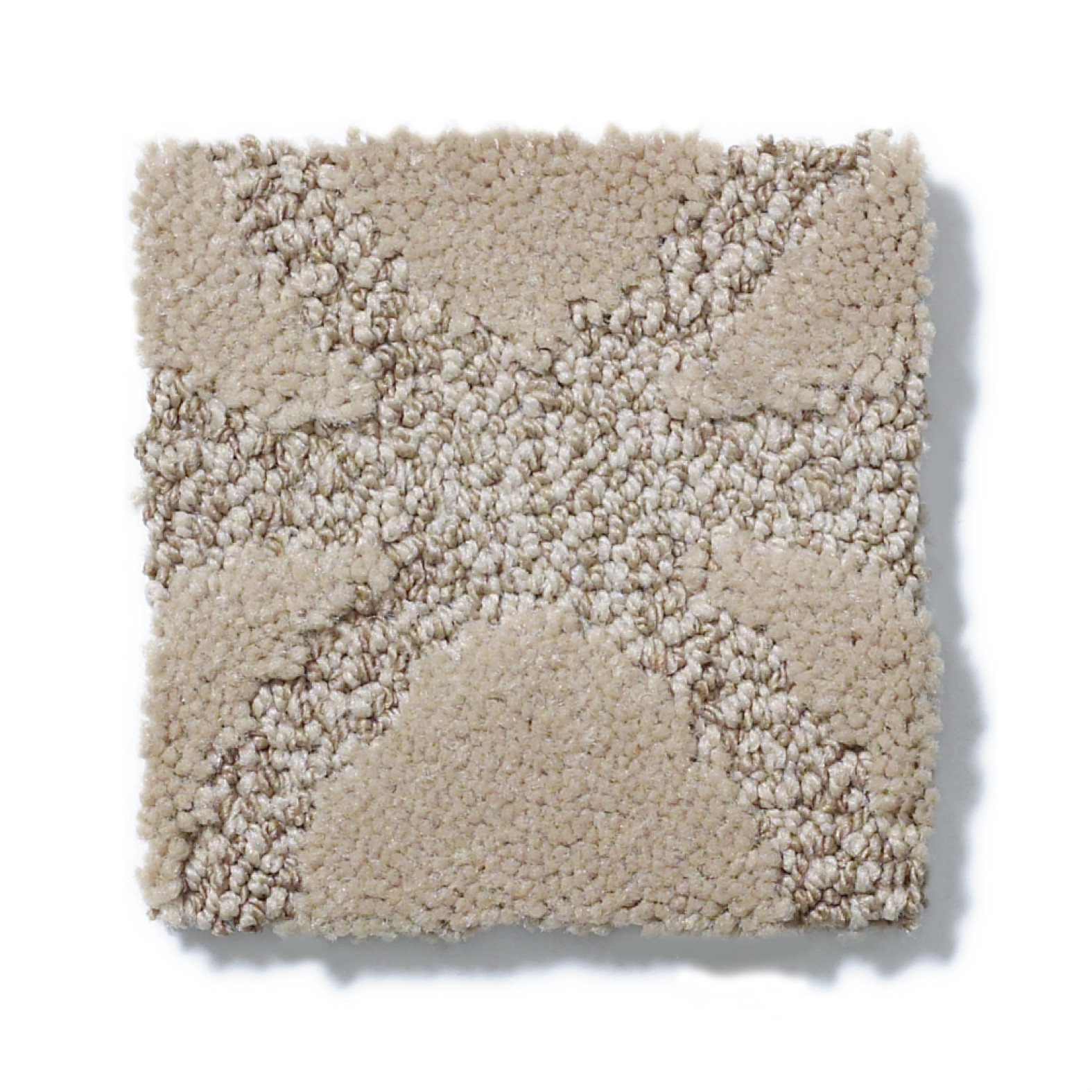 NEW EXHIBITION LLAMA SWATCH