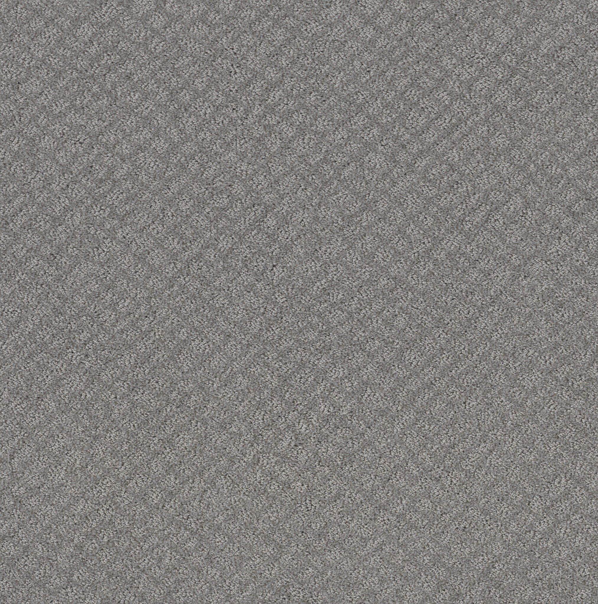 CHIC SHADES GREY FOX MAIN
