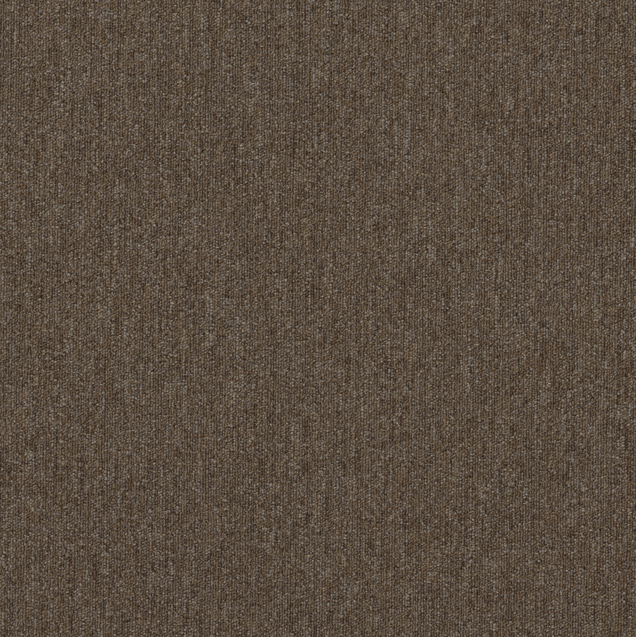 PROFUSION-20-54933-HEAPS-00700-main-image