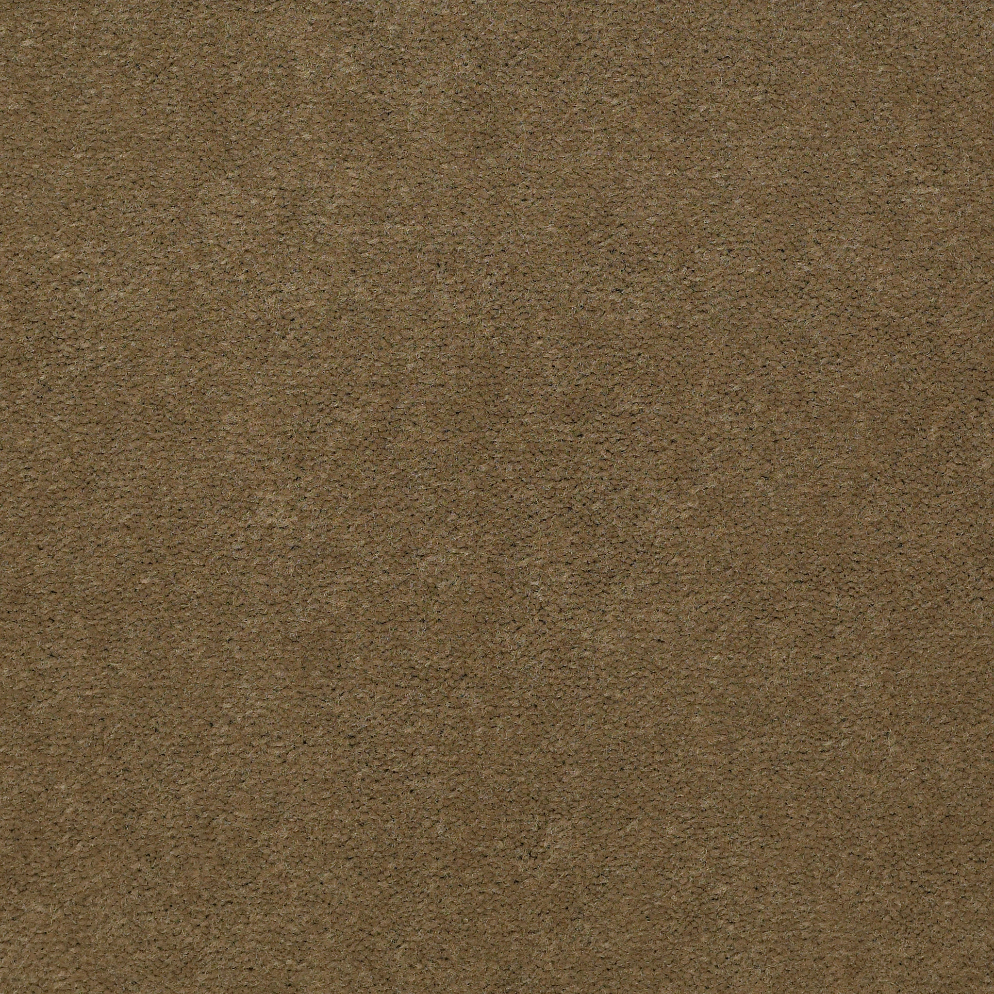 EMPHATIC-II-36-54256-OLIVE-TWIST-56755-main-image