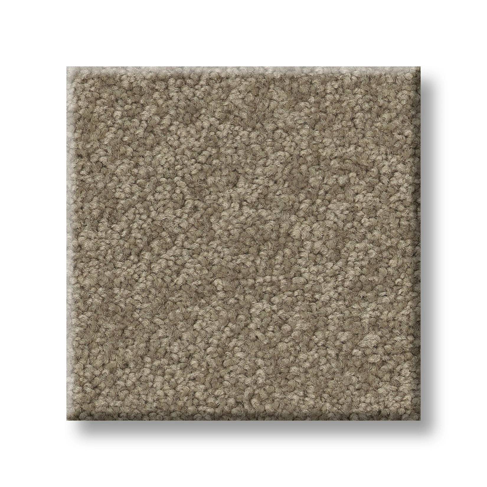 TIMELESS APPEAL III 12' CHINCHILLA SWATCH