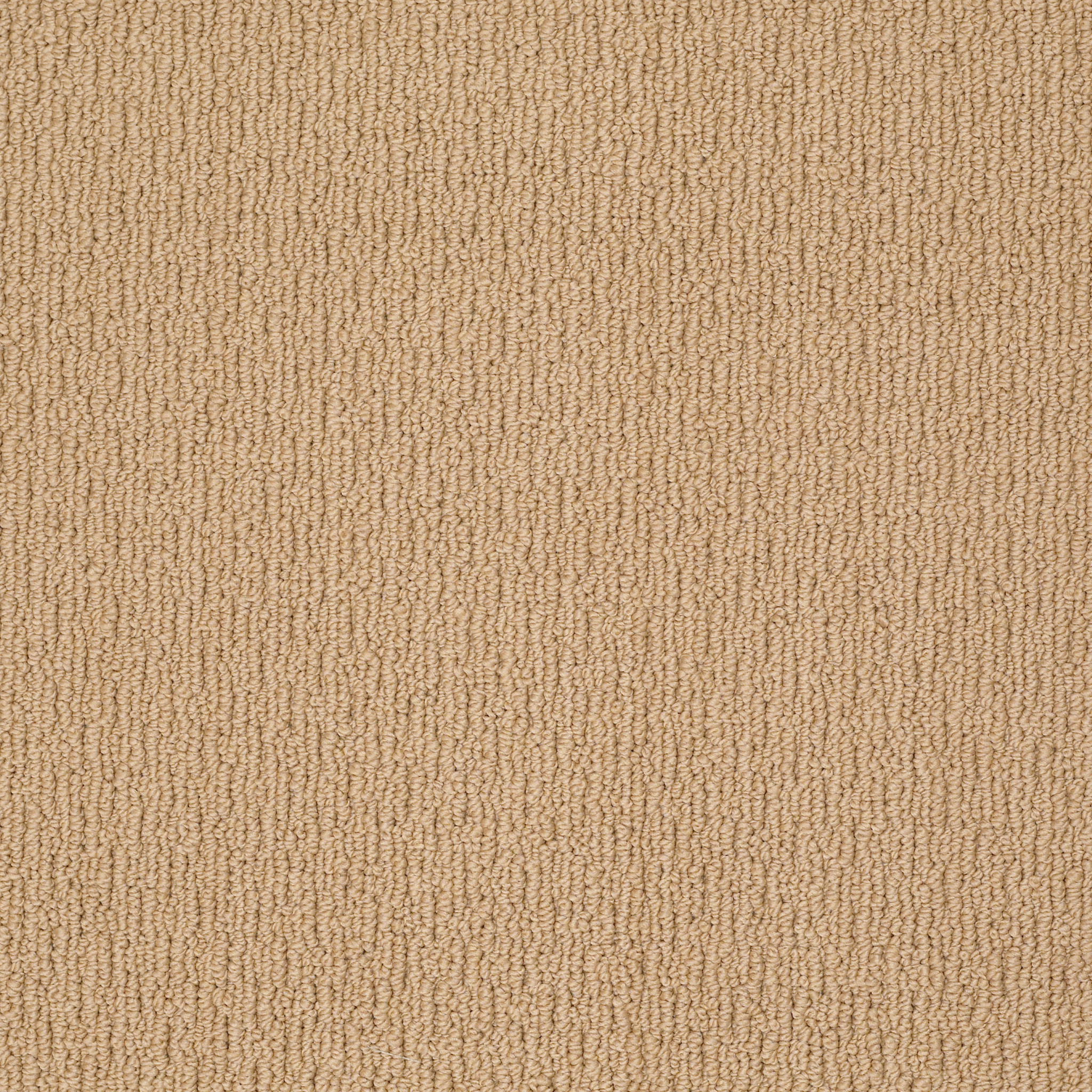 APPIAN WAY WINTER WHEAT MAIN