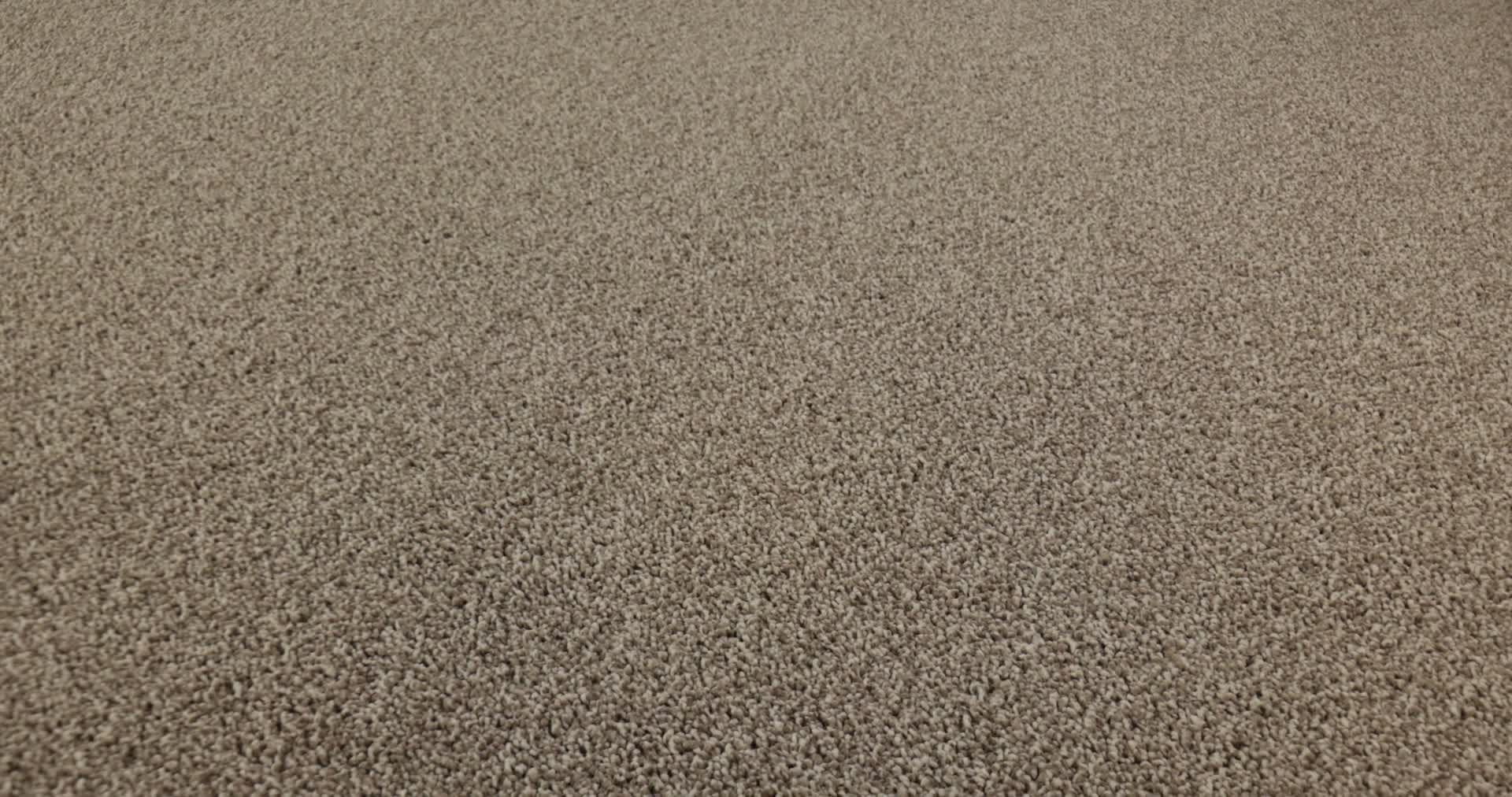 NEW MEMORIES T STONECREST 360PROD