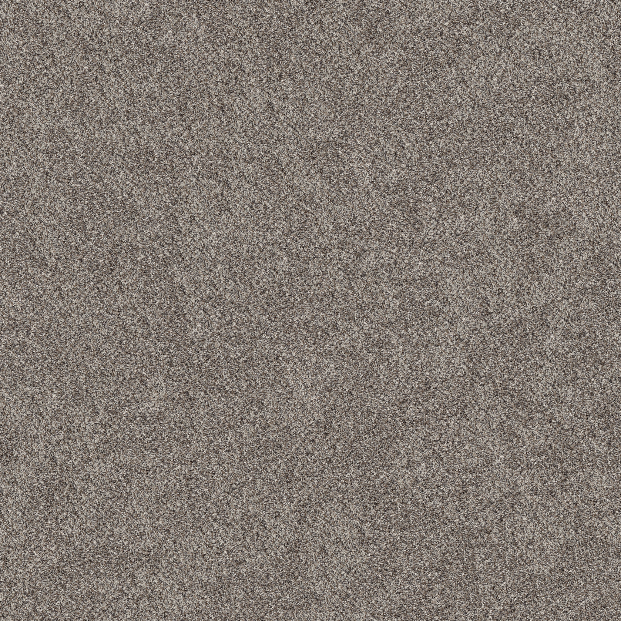 GRAND OUTLOOK HAMMERHEAD MAIN