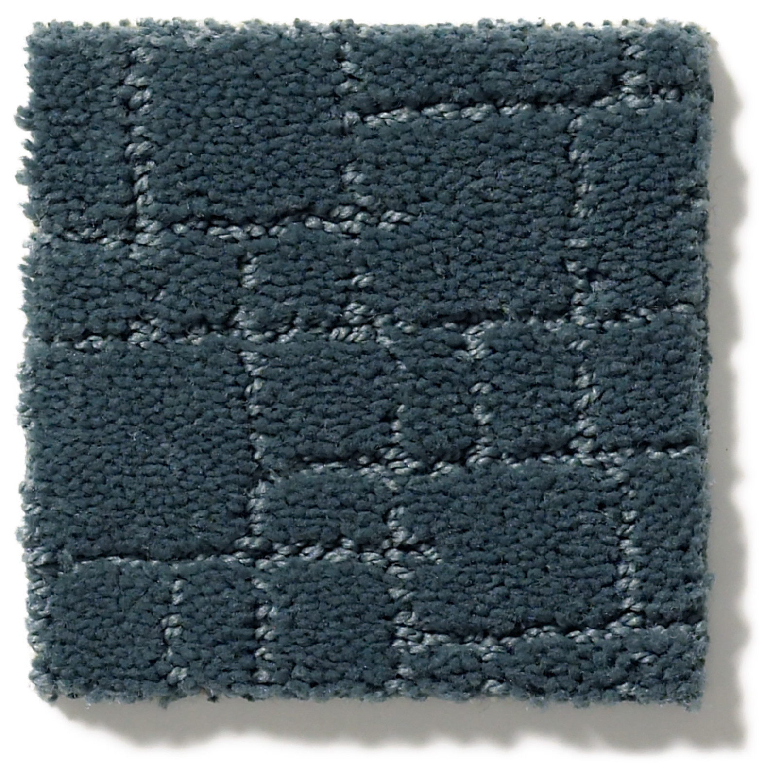 FAUX PAW NIMBUS SWATCH