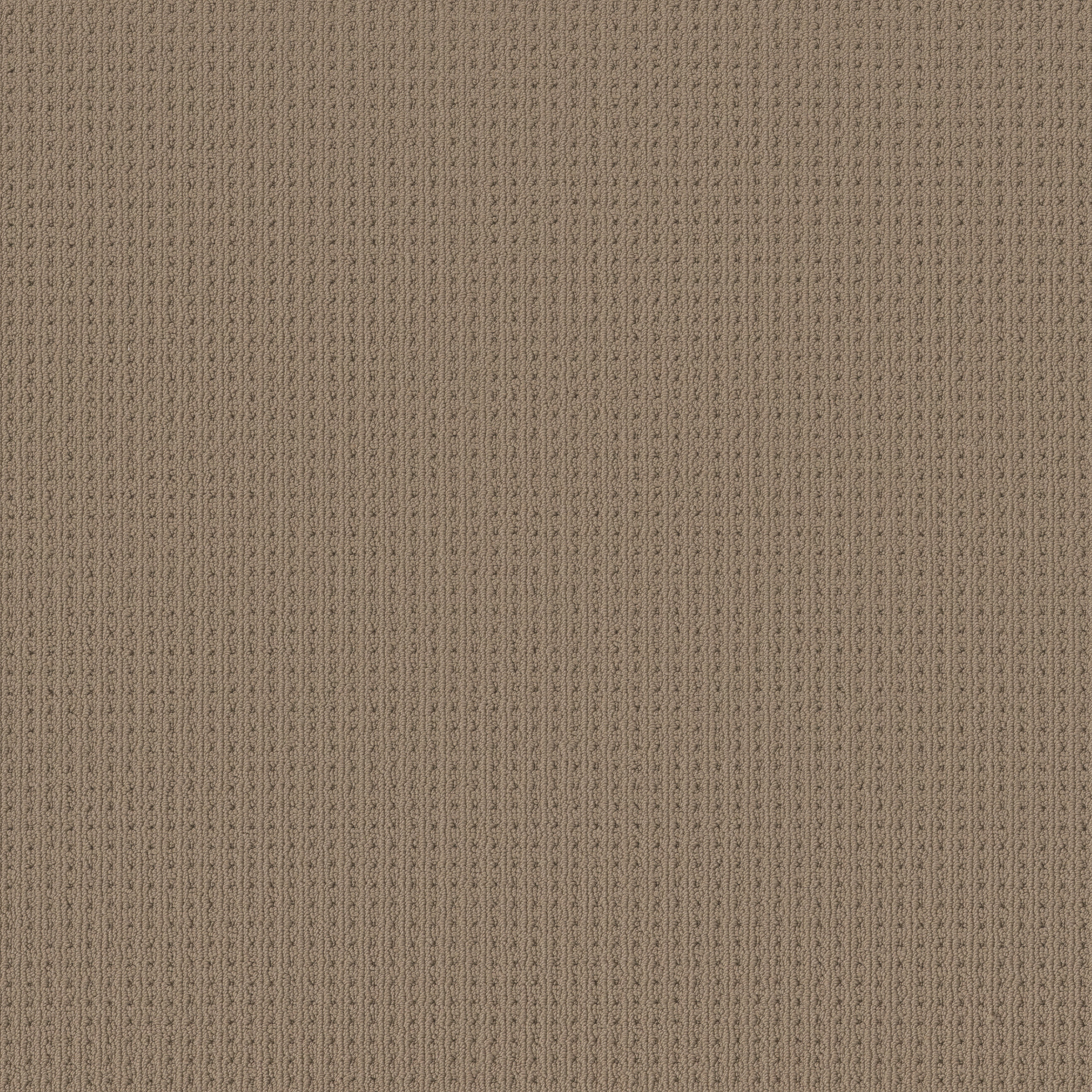 SAN LUCAS LATTE MAIN