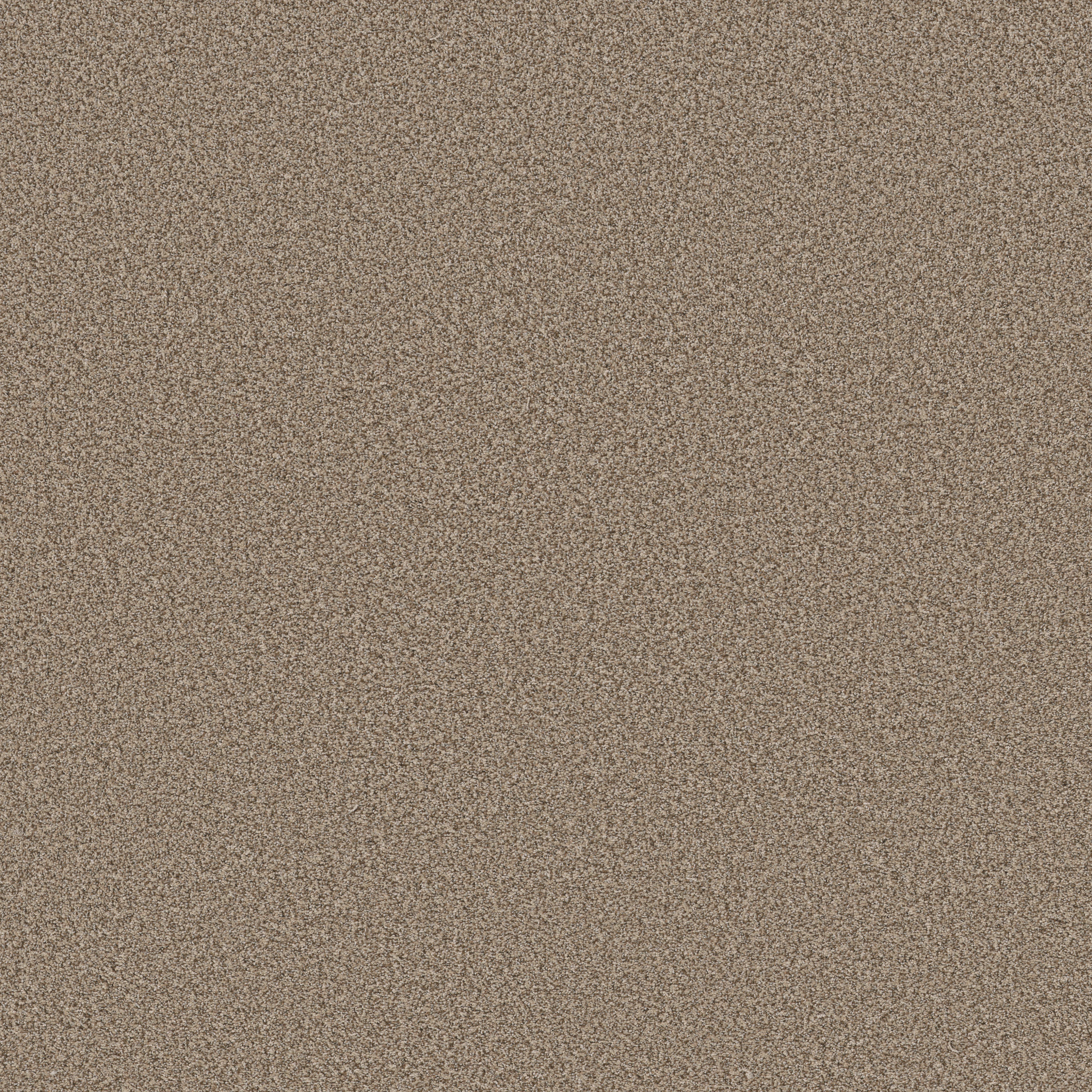 AVALON BAY DISTANT LAND MAIN