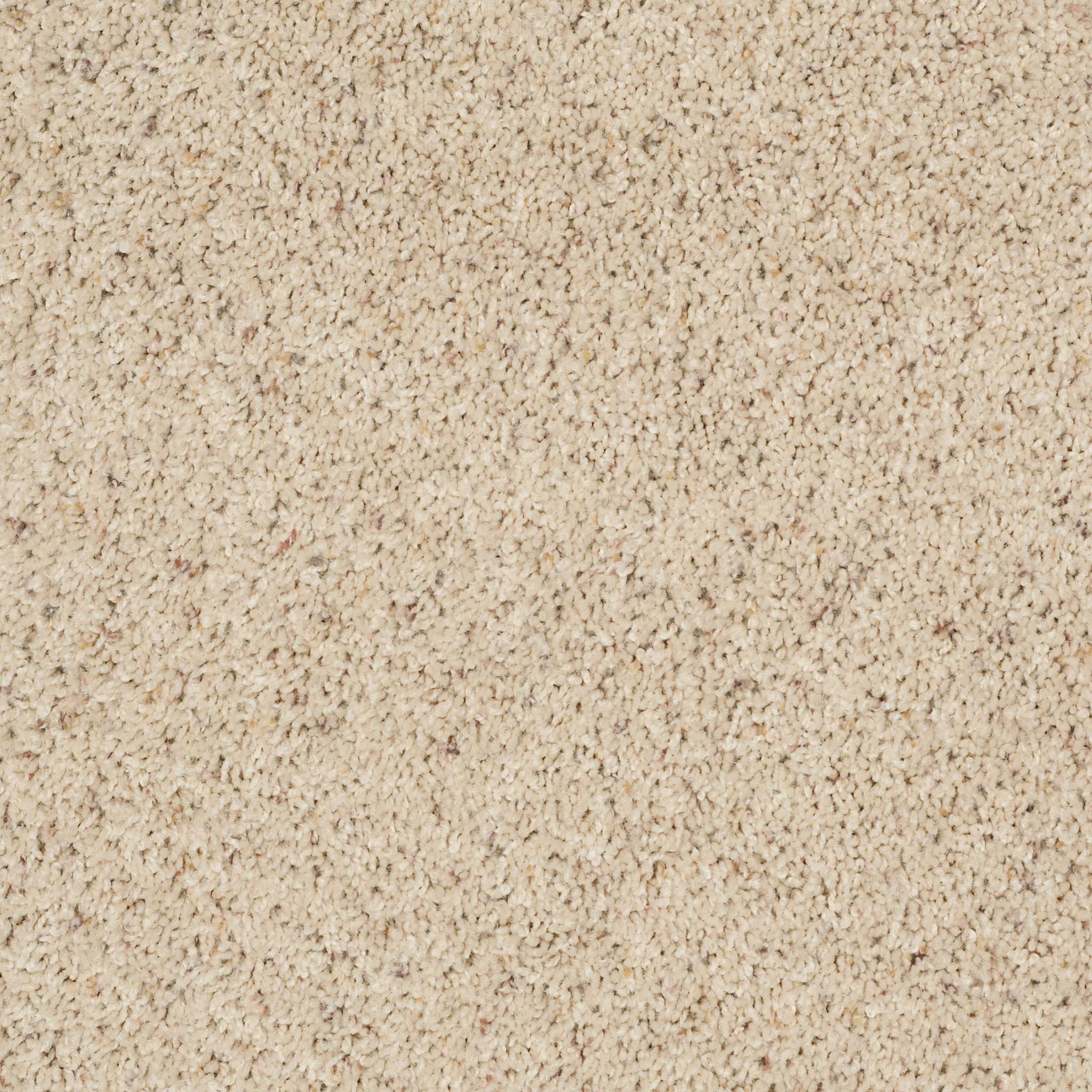 CROSS PATHS (B) WARM SHADOW MAIN