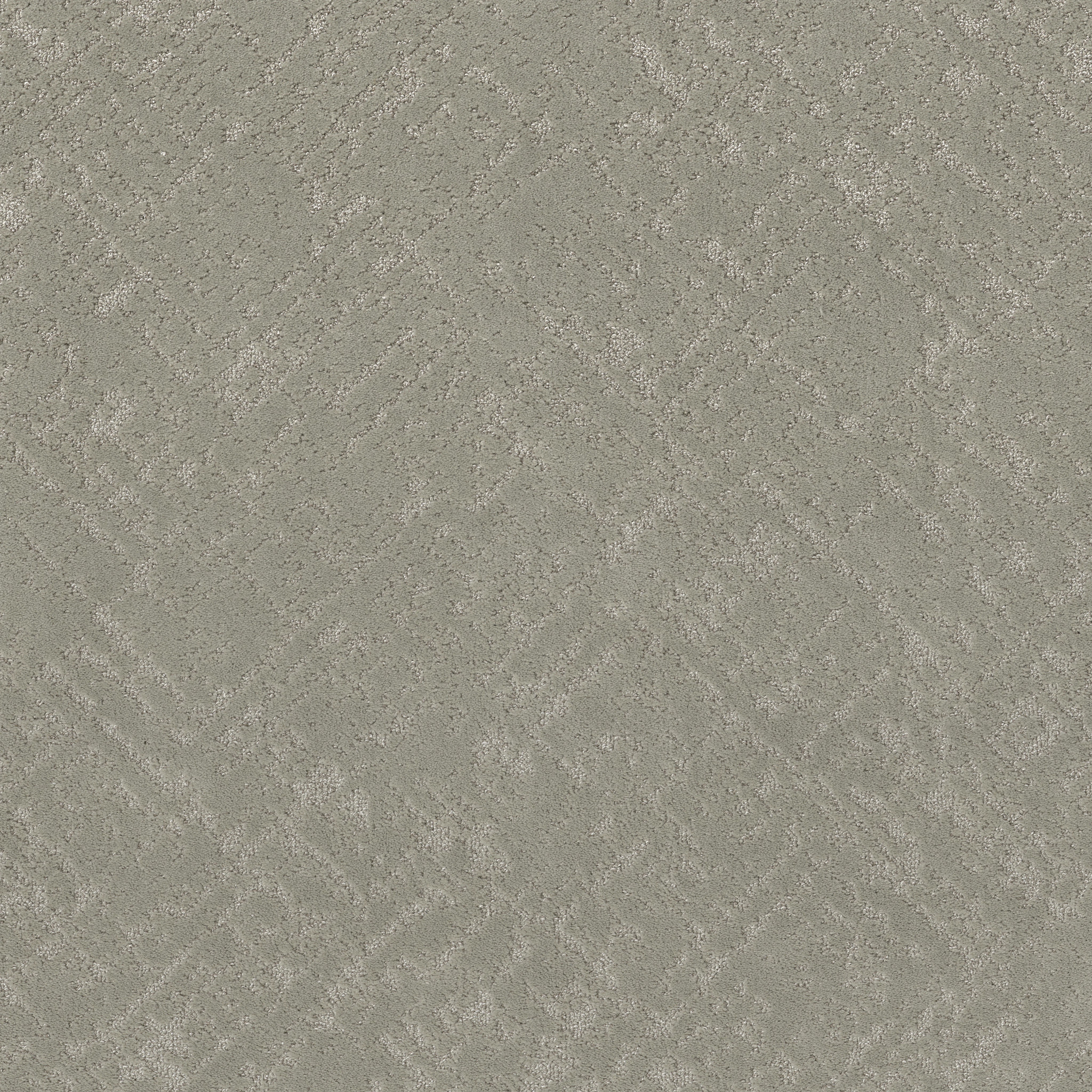 SINCERE FOCUS ORGANIC GROWN MAIN