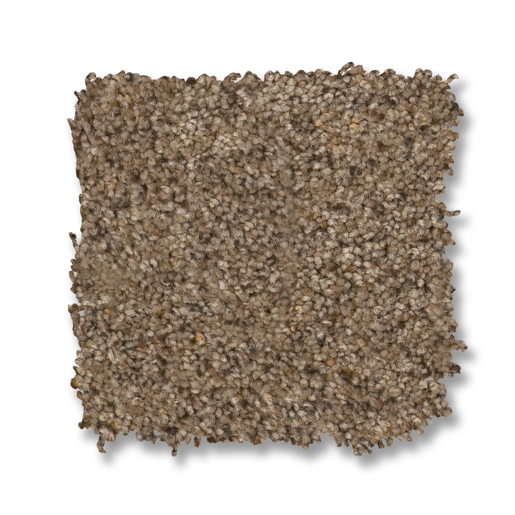 Topanga Canyon STONE AGE SWATCH