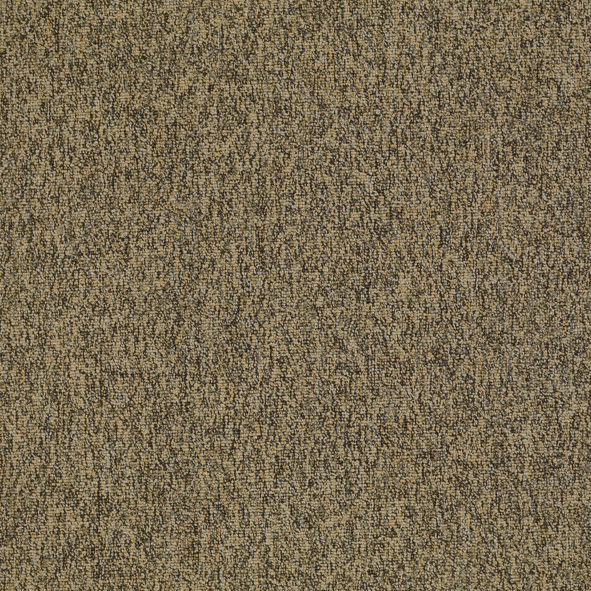 MULTIPLICITY-54593-ABUNDANCE-00200-main-image