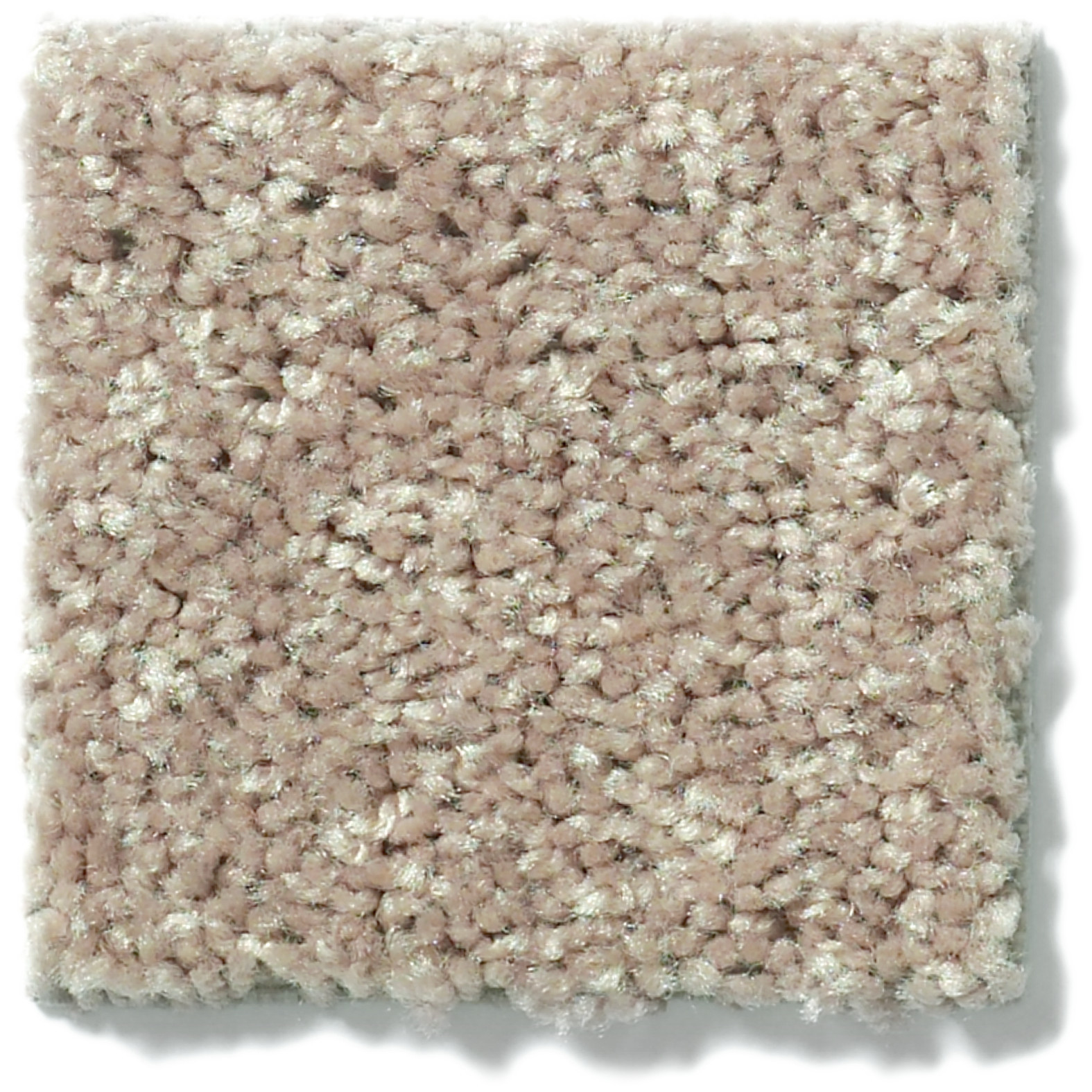 TACTICAL HONEY SWATCH