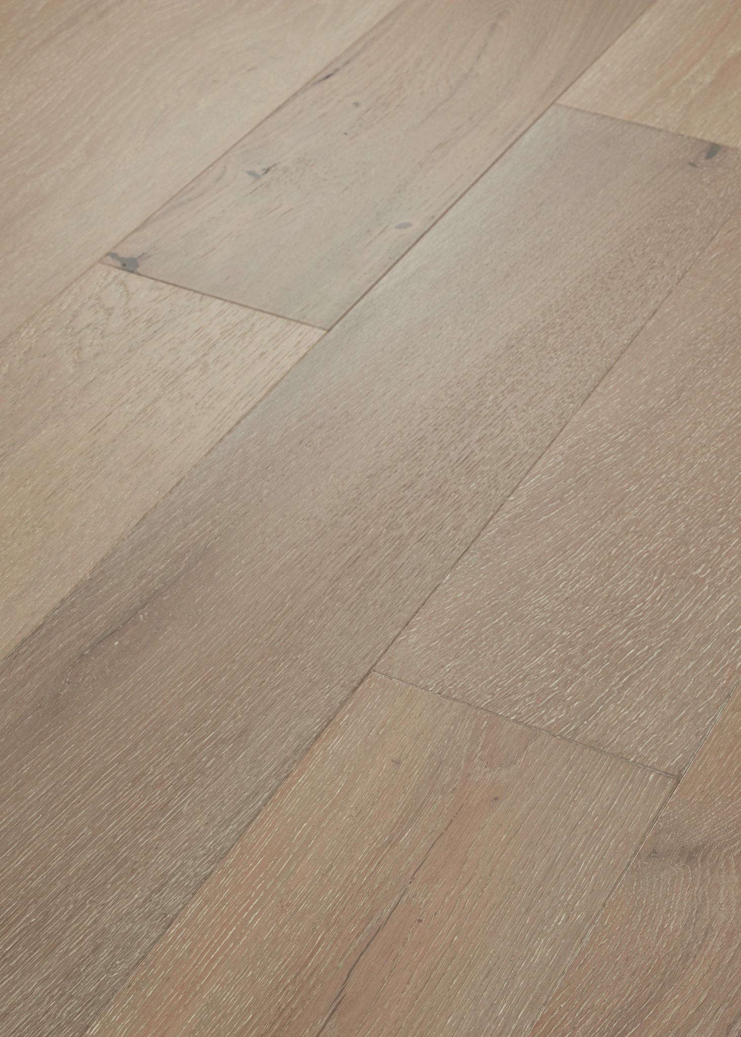 COAST TO COAST PROMENADE ANGLED