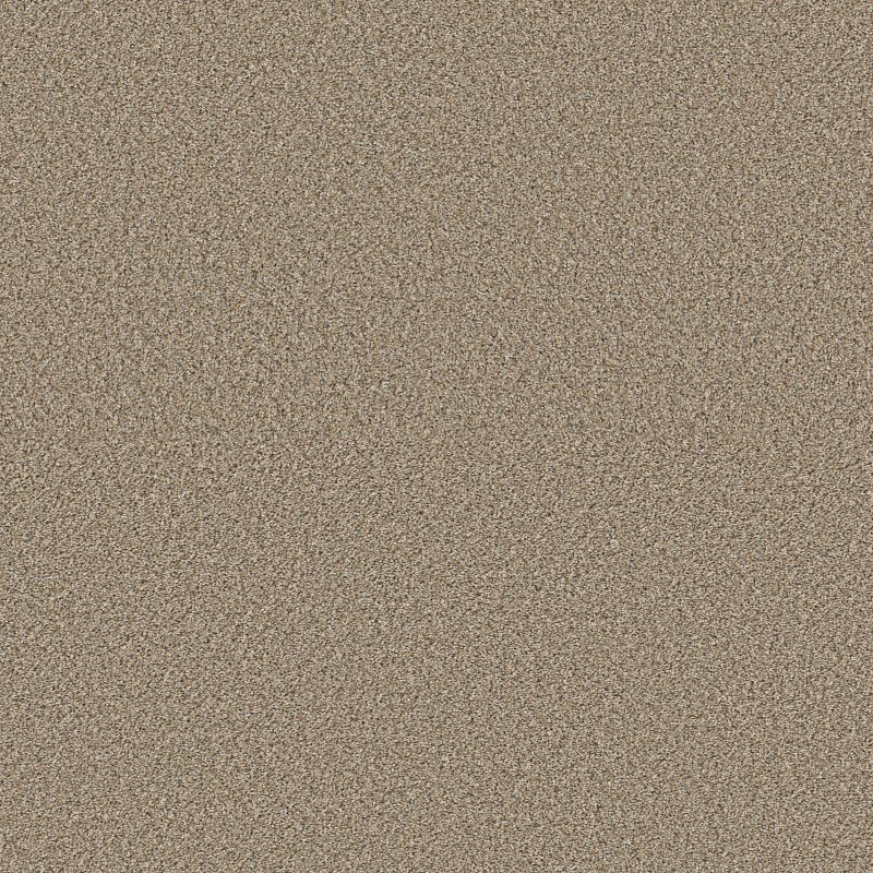 High Ranking B 5E798 Carpet in River color, 12ft wide, made of 100% Polyester, designed for residential use.