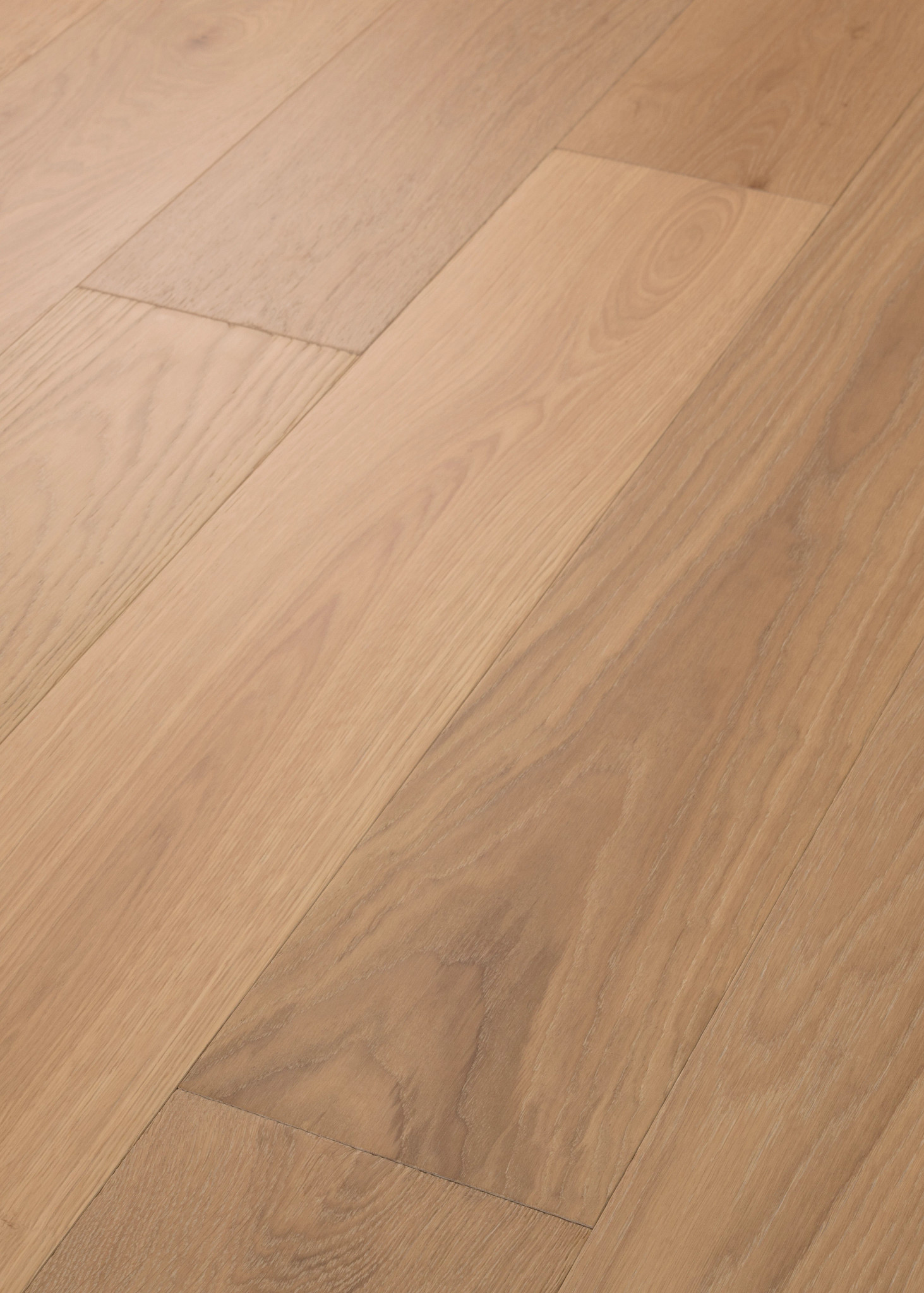 CARPENTRY OAK GALLERY ANGLED