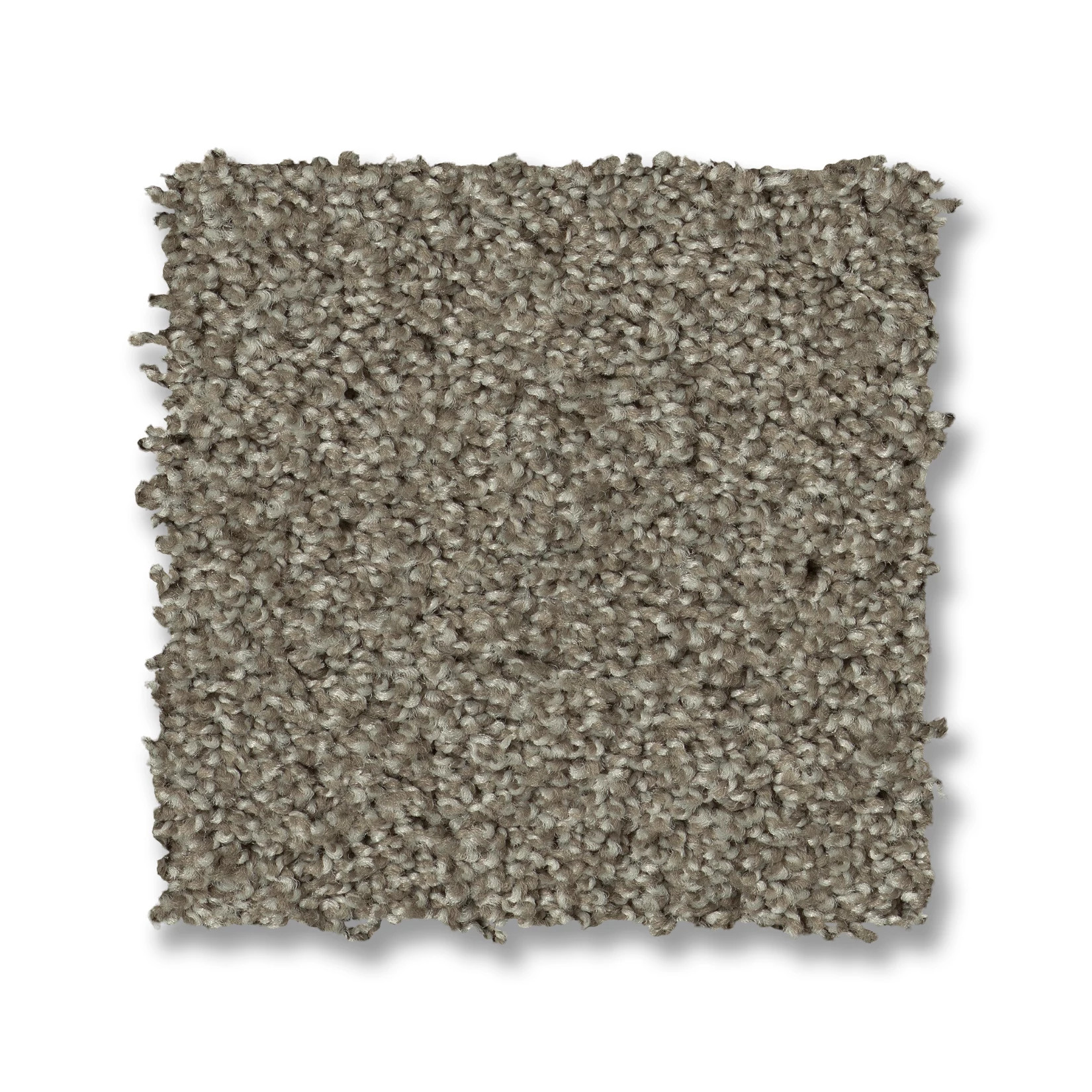 ACADIA PARK ELUSIVE SWATCH