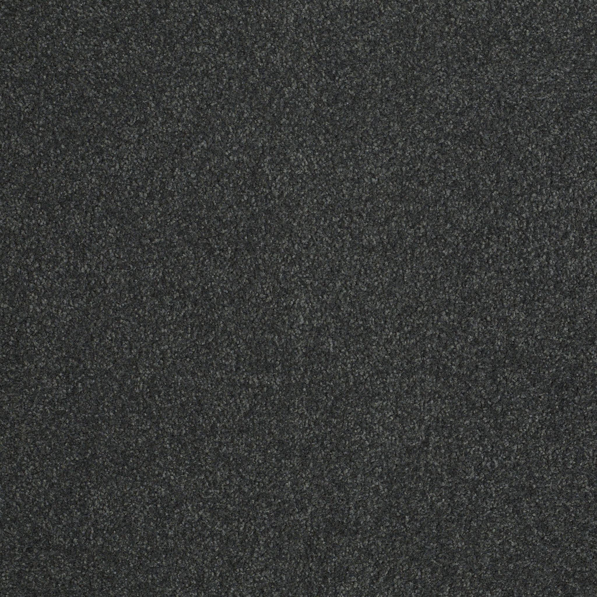 SHINGLE CREEK III 12' LAGOON MAIN