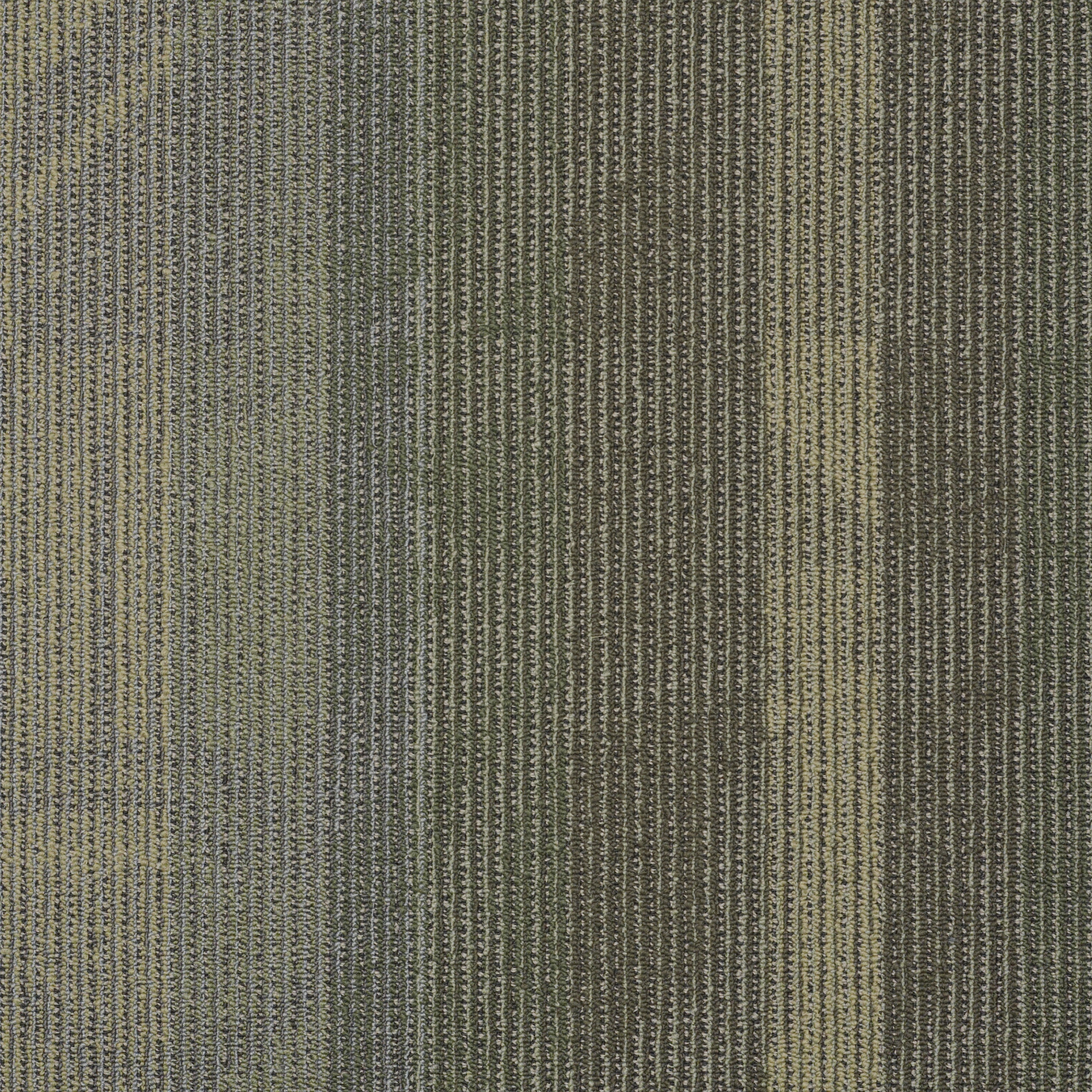 FEEDBACK-54565-SIGNAL-00303-main-image