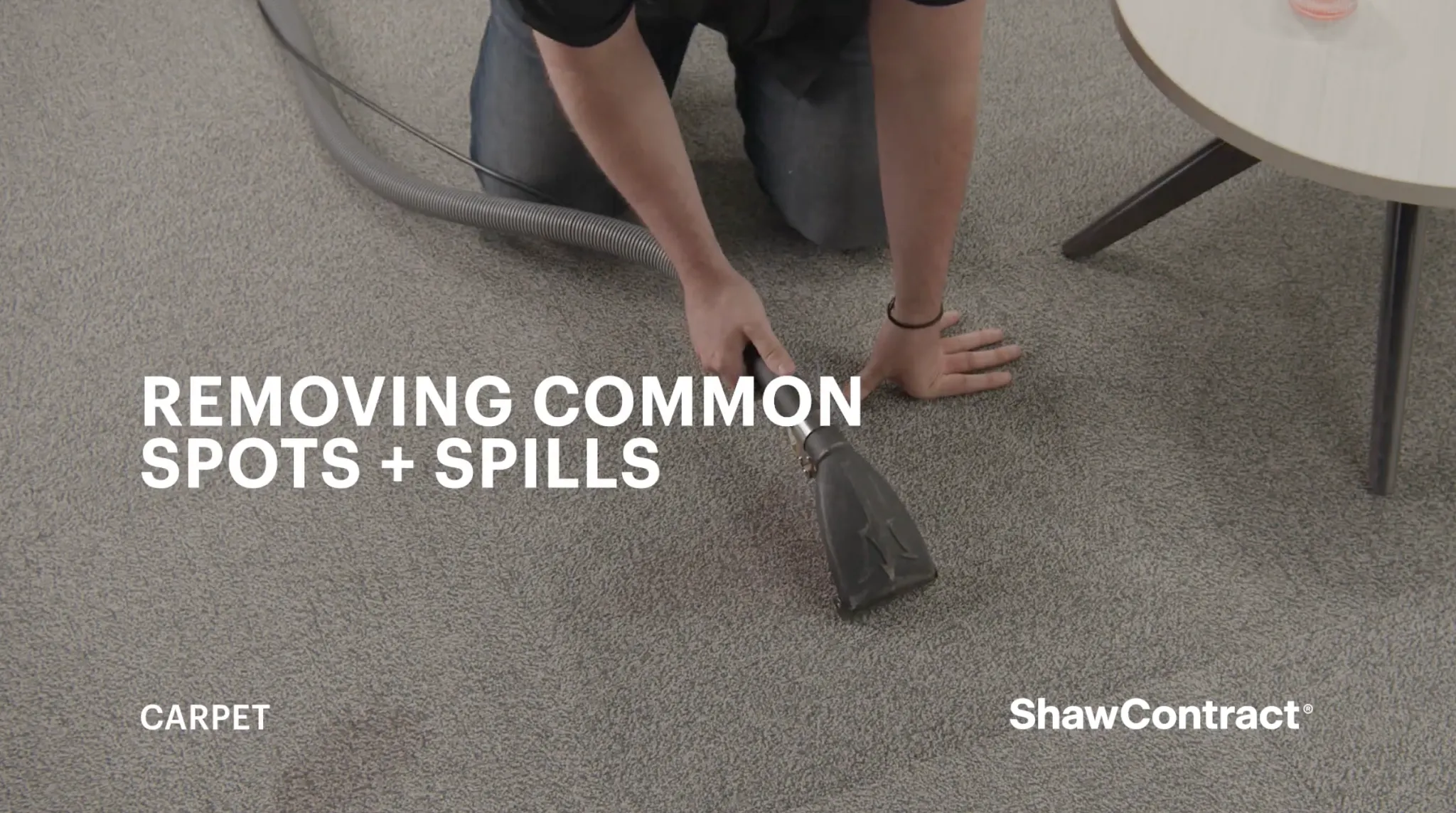 Person cleaning carpet with vacuum in living room