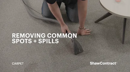 Effective carpet cleaning for spot and spill removal Person cleaning carpet with vacuum in living room