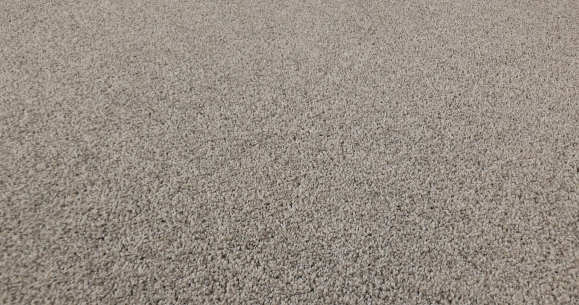 TIMELESS TONE TWILIGHT TAUPE 360PROD