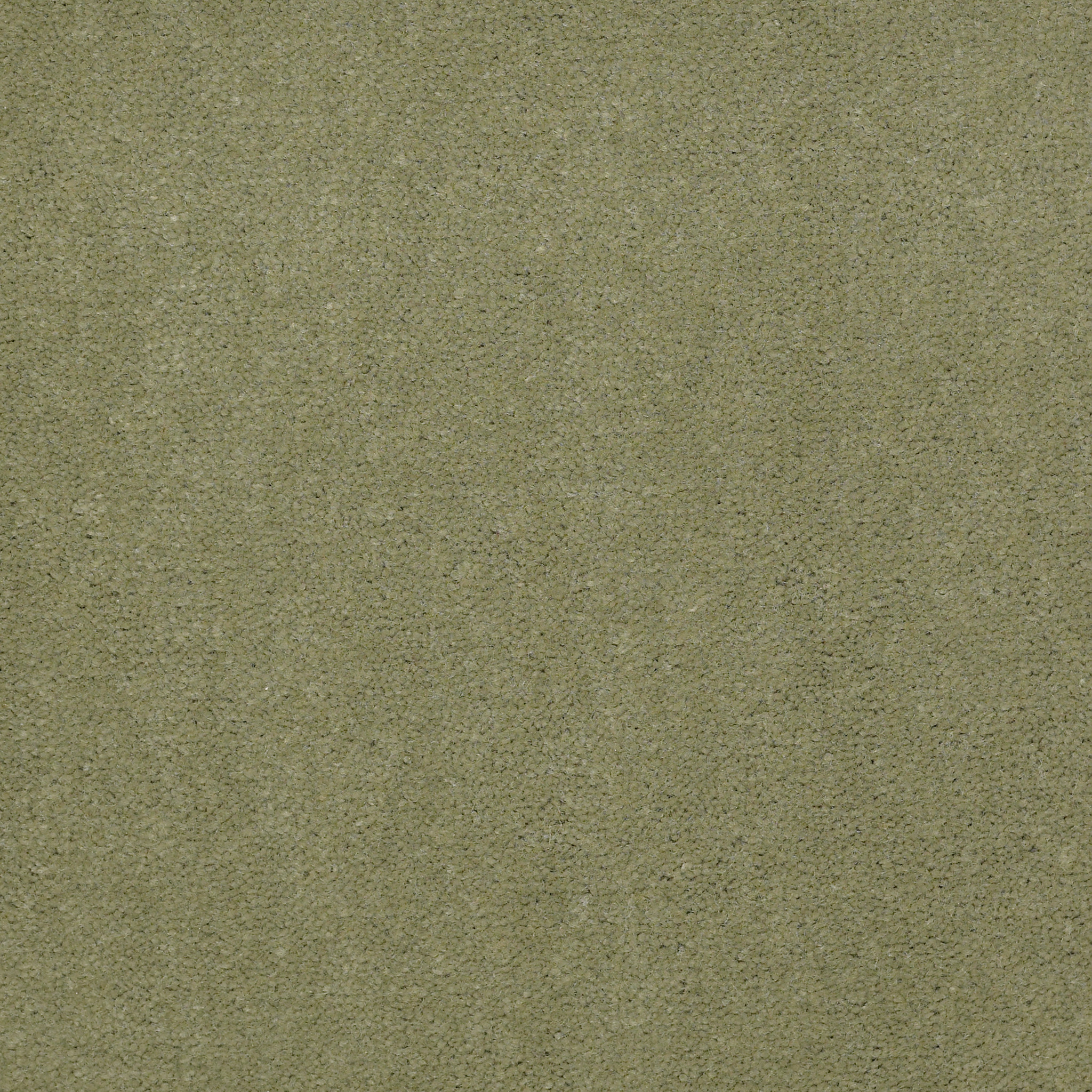 EMPHATIC-II-36-54256-ISLAND-GREEN-56370-main-image